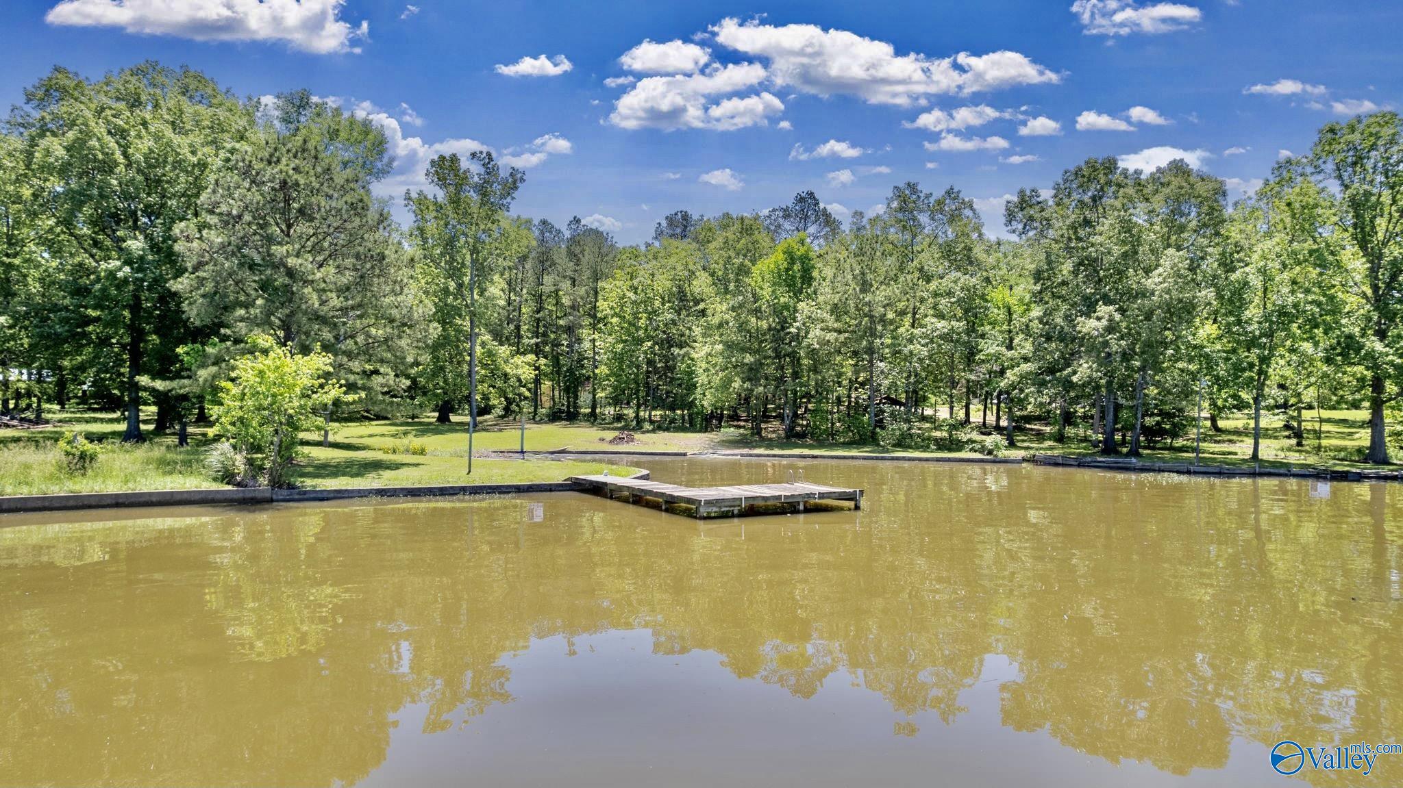 17395 County Road 31, Centre, Alabama image 28