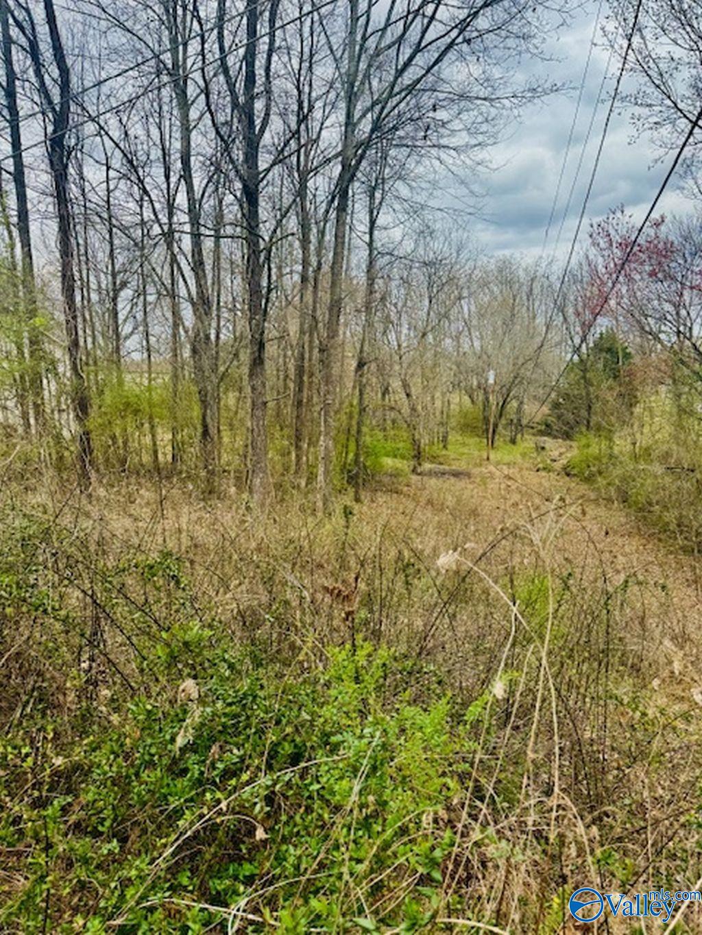 14148 Creek Hill, Harvest, Alabama image 2