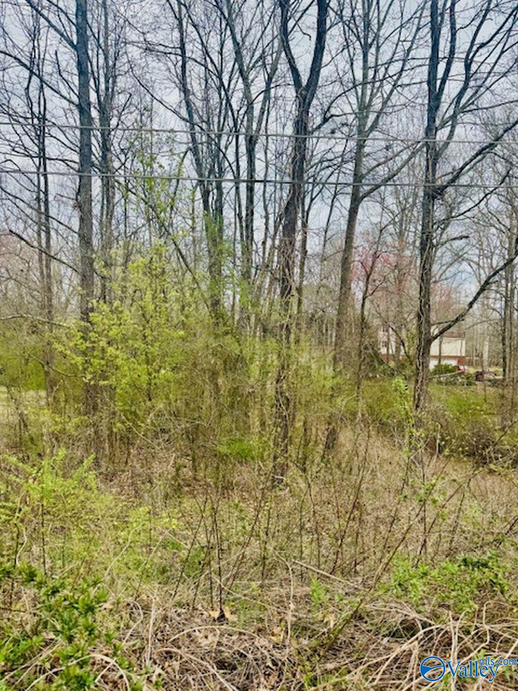 14148 Creek Hill, Harvest, Alabama image 3