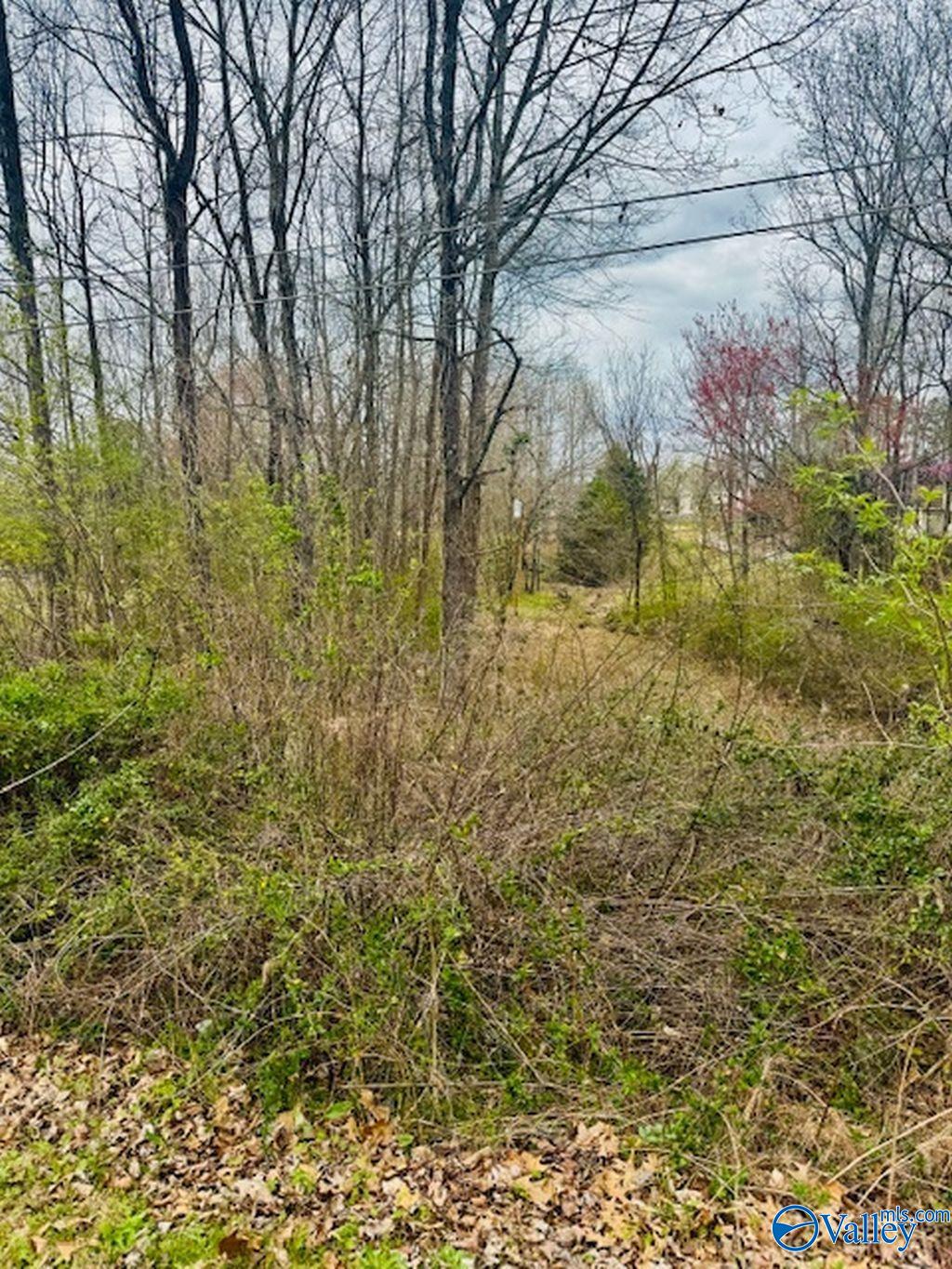 14148 Creek Hill, Harvest, Alabama image 1