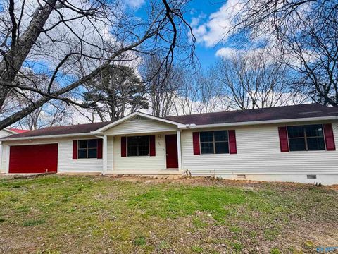 Photo of 135 Dusty Drive, Arab, AL 35016 (MLS # 21911568)