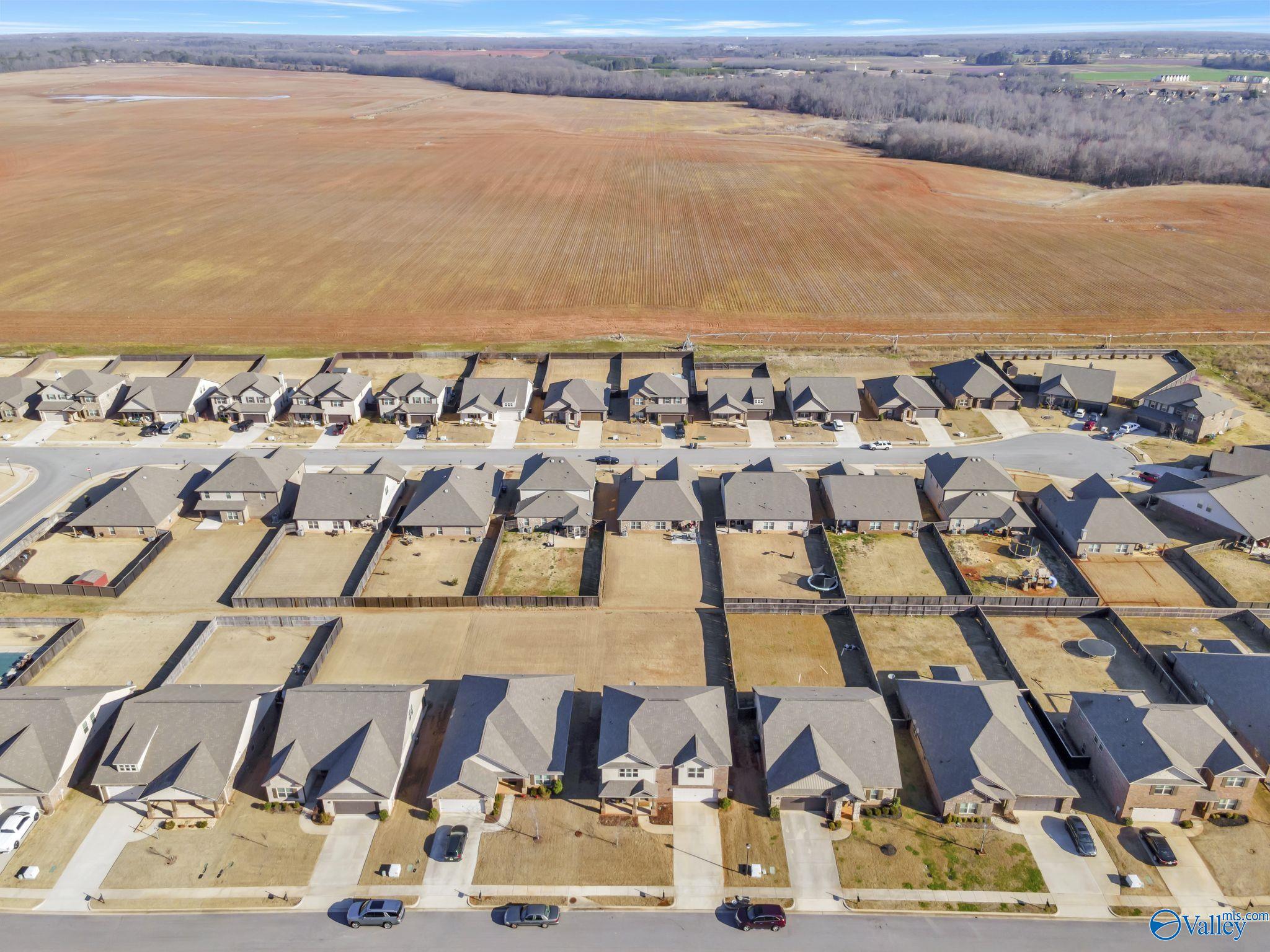 213 Iron Circle, Meridianville, Alabama image 4