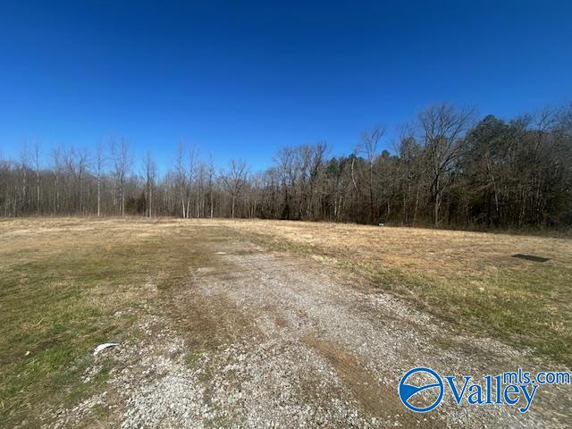 4277 Hobbs Island Road, Owens Cross Roads, Alabama image 4