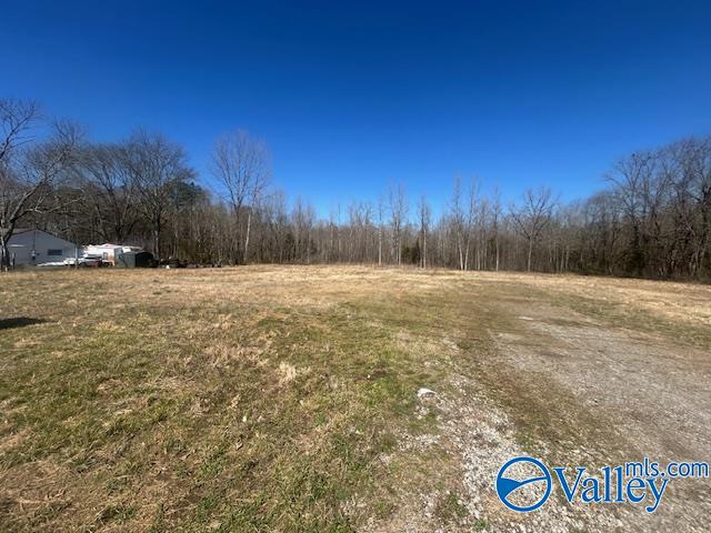4277 Hobbs Island Road, Owens Cross Roads, Alabama image 3