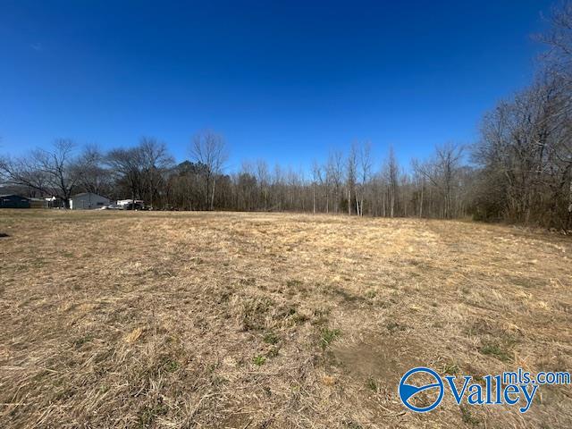 4277 Hobbs Island Road, Owens Cross Roads, Alabama image 5