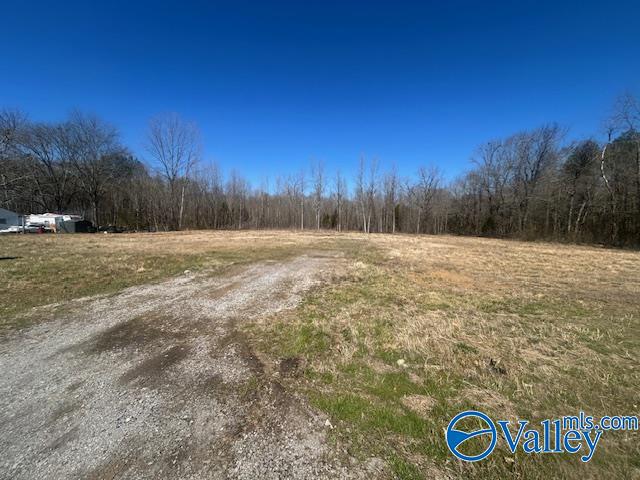 4277 Hobbs Island Road, Owens Cross Roads, Alabama image 1