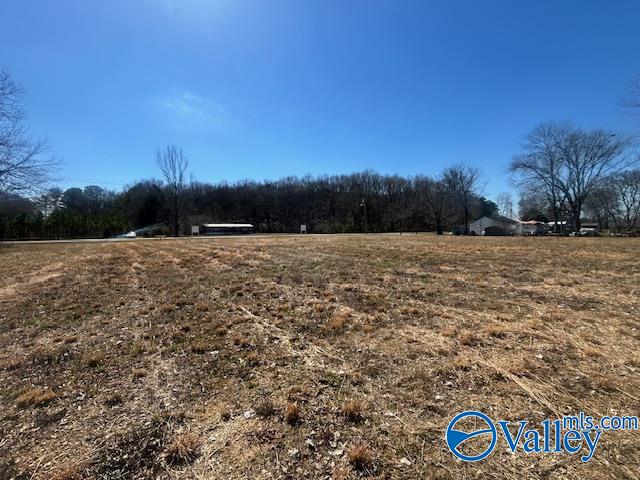 4277 Hobbs Island Road, Owens Cross Roads, Alabama image 6