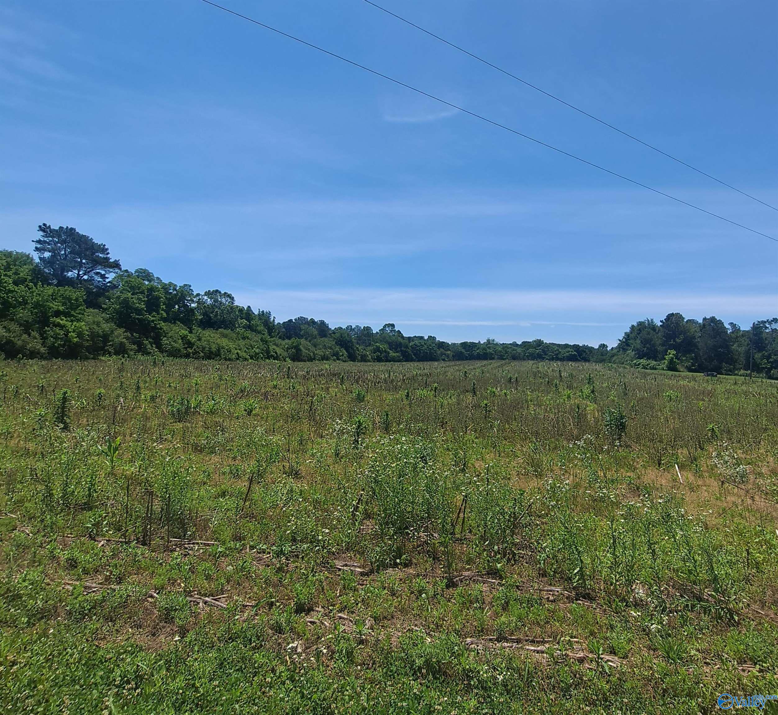 2390 Martling Gap Road, Albertville, Alabama image 1