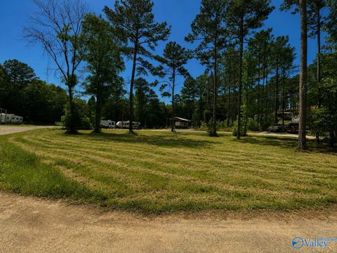 Vacant Land For Sale - 1725 County Road 182 #46-51<br/> Cherokee County, Cedar Bluff, AL 35959