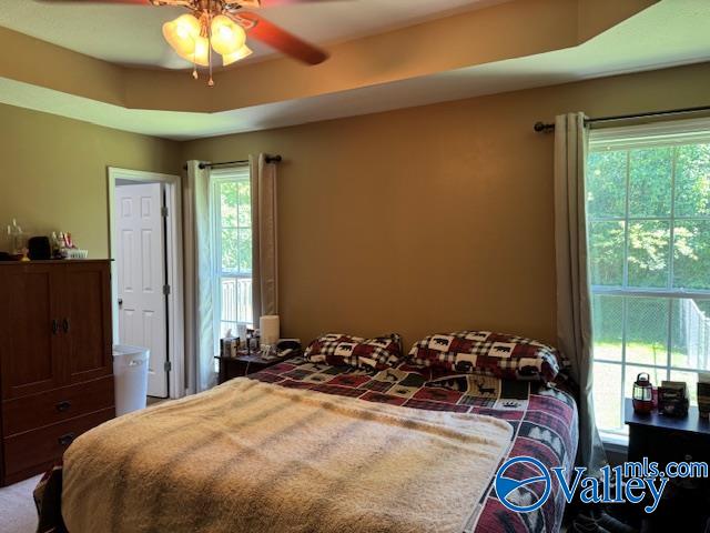 117 Simmons Circle, Fayetteville, Tennessee image 31