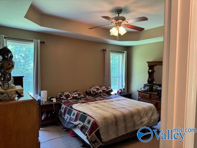 117 Simmons Circle, Fayetteville, Tennessee image 34