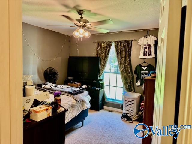 117 Simmons Circle, Fayetteville, Tennessee image 35