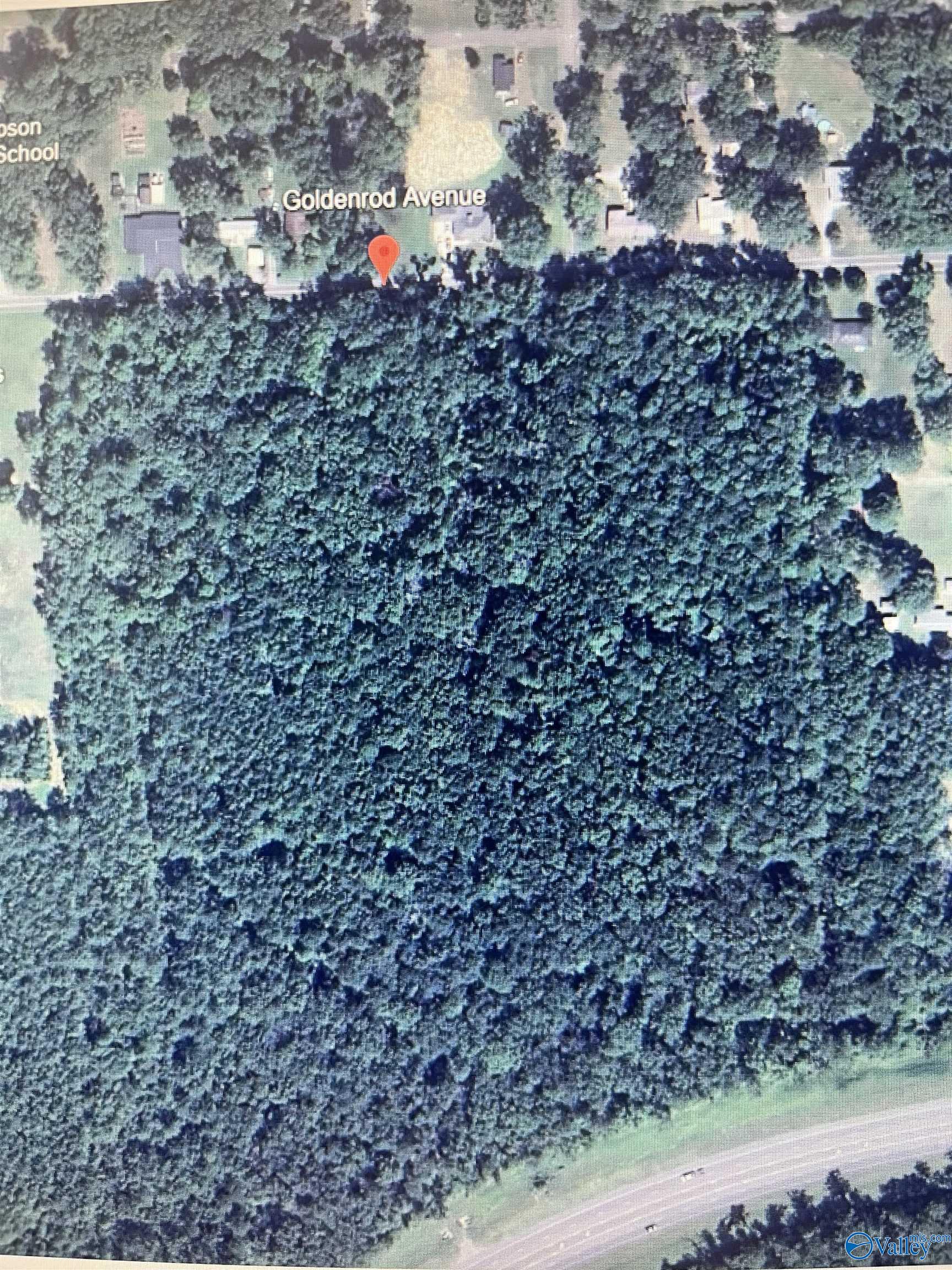 19 Acres Goldenrod Avenue, Gadsden, Alabama image 4