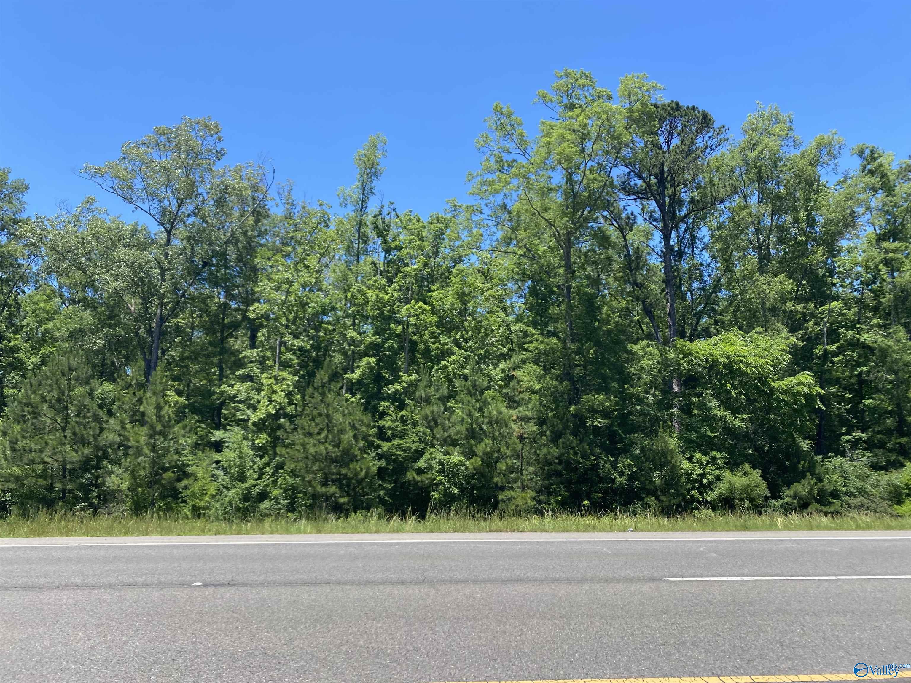19 Acres Goldenrod Avenue, Gadsden, Alabama image 1