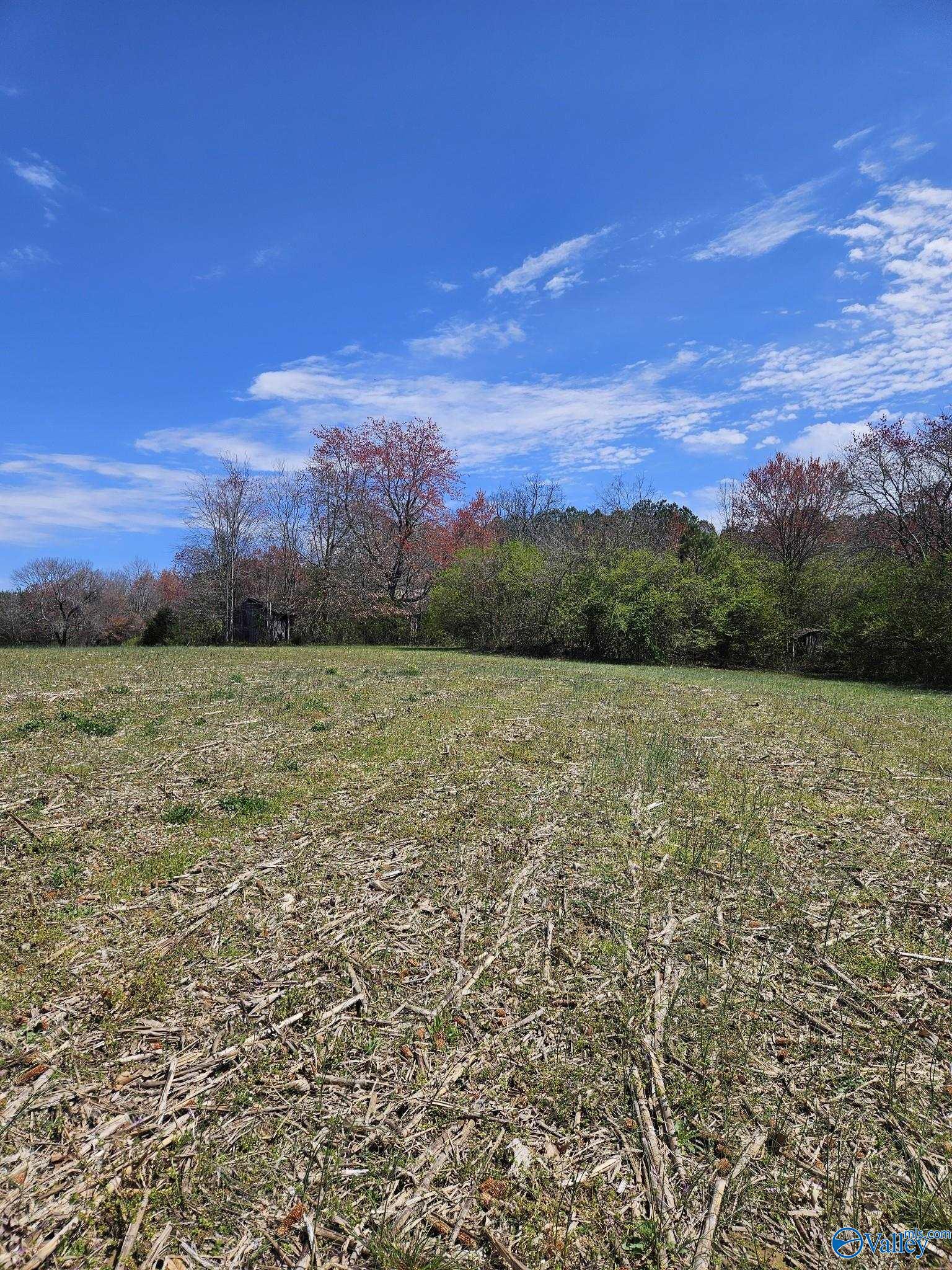 13.5 Acres County Road 687, Henagar, Alabama image 3