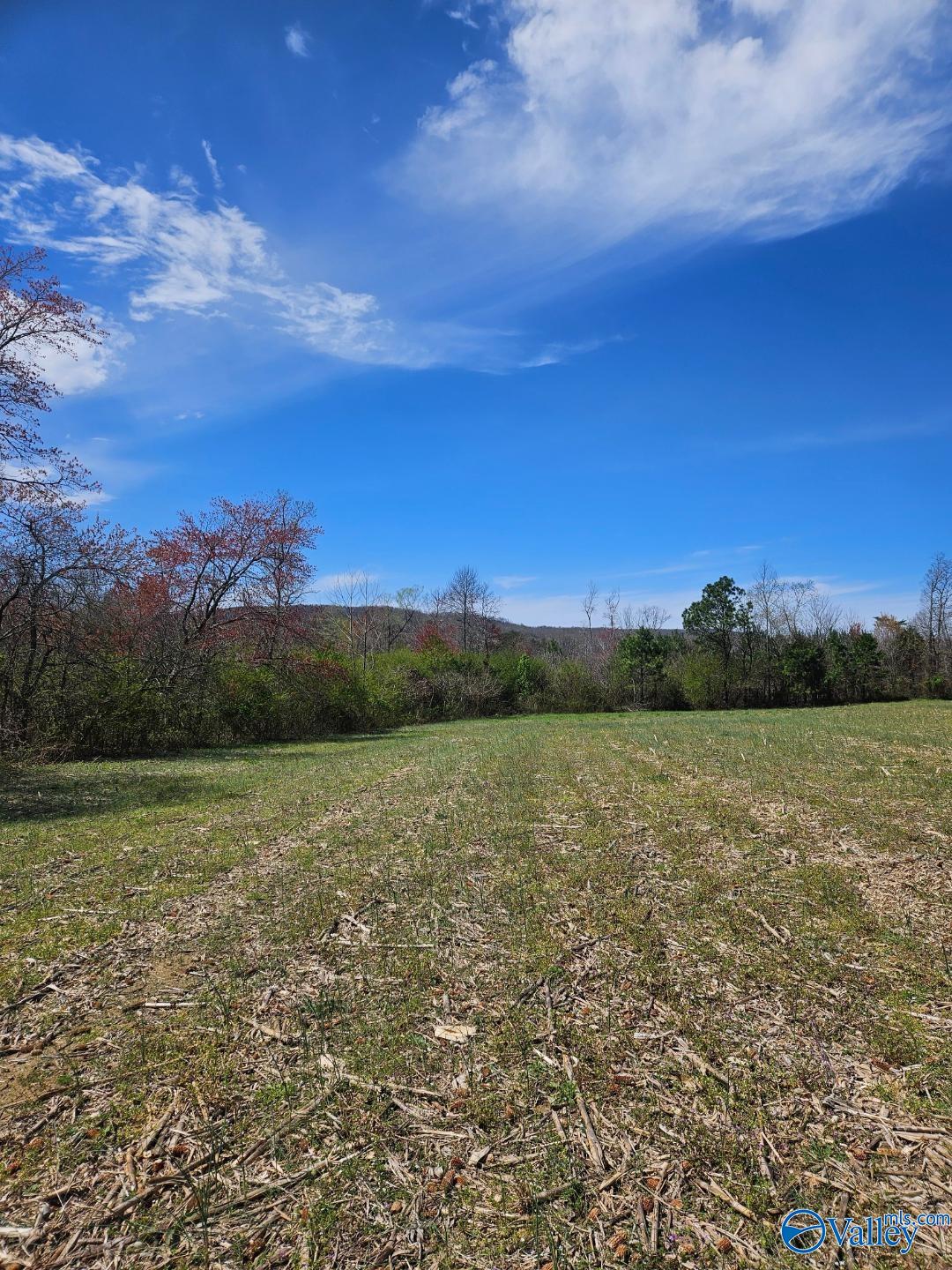 13.5 Acres County Road 687, Henagar, Alabama image 1