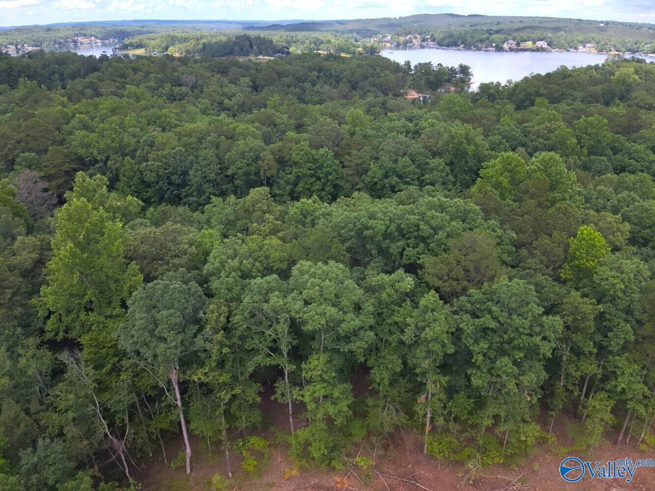 1.10 +/- Acres Stoney Point Road, Double Springs, Alabama image 3