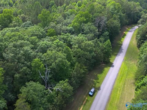 Vacant Land For Sale - 1.10 +/- ACRES Stoney Point Road<br/> Double Springs, AL 35553
