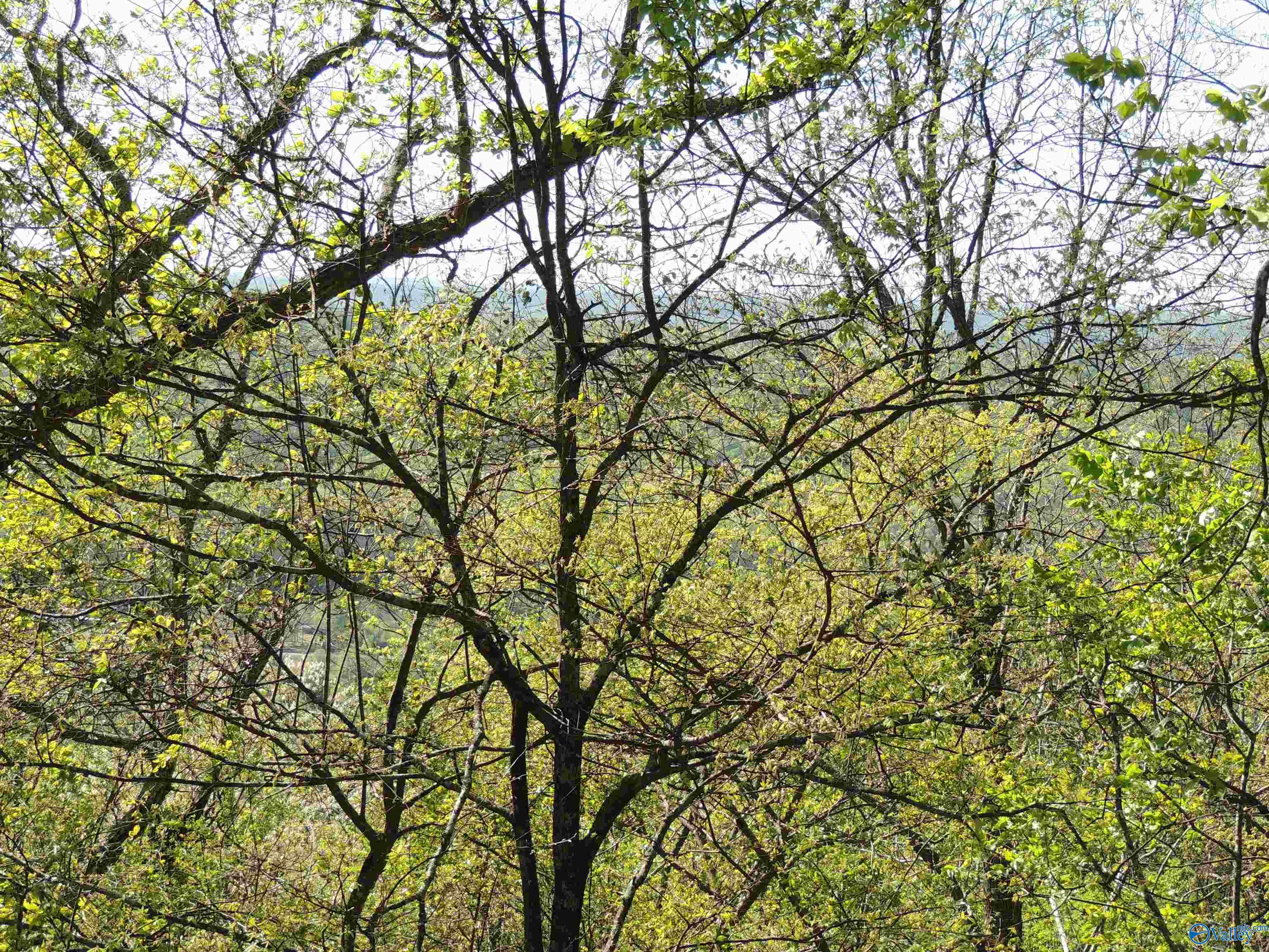 214 County Road 130, Fort Payne, Alabama image 27