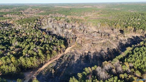 Vacant Land For Sale - 37.7 ACRES Old Fred Williams Road<br/> Hamilton, AL 35570