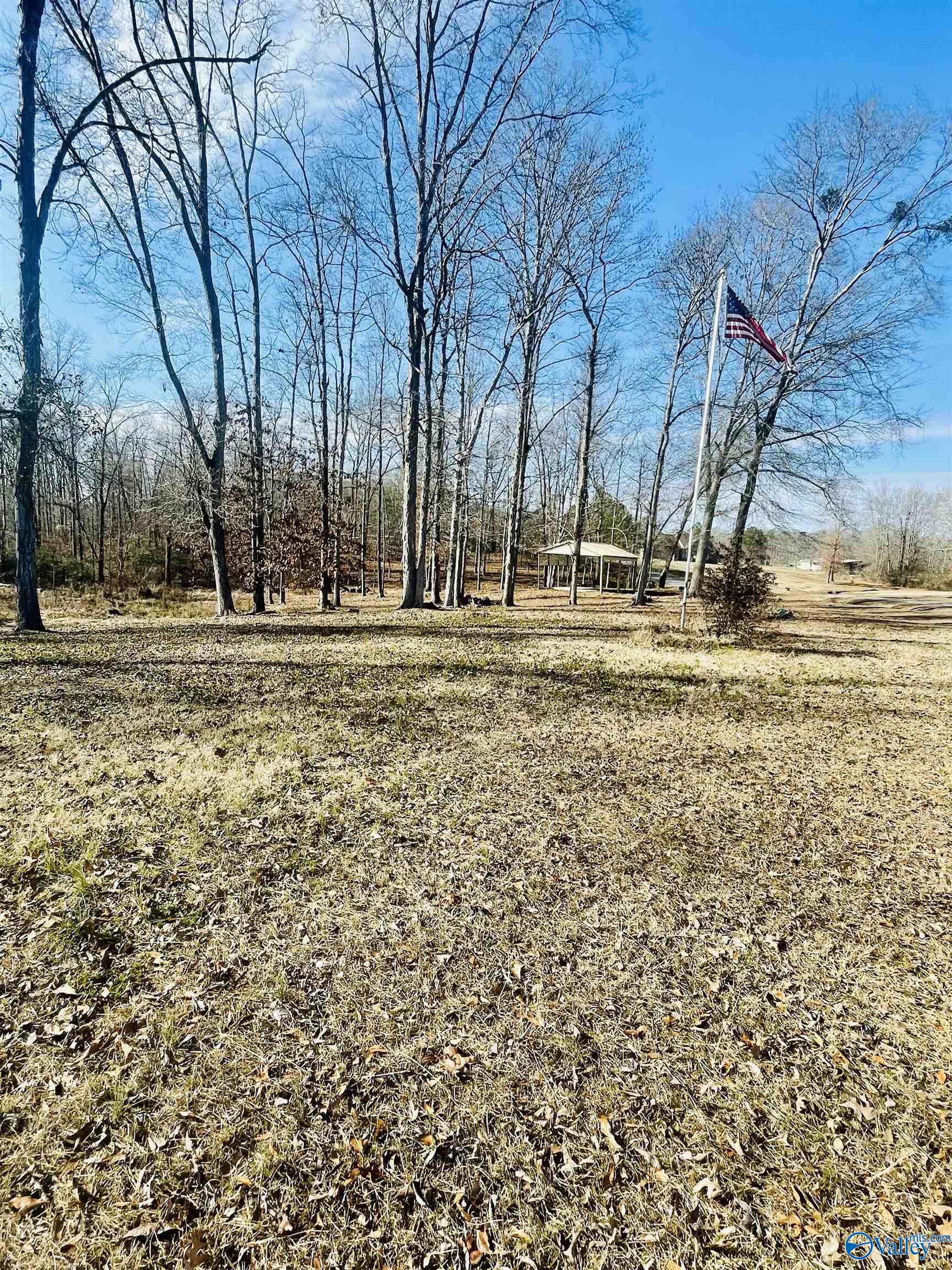 6 Acres County Road 459, Centre, Alabama image 2