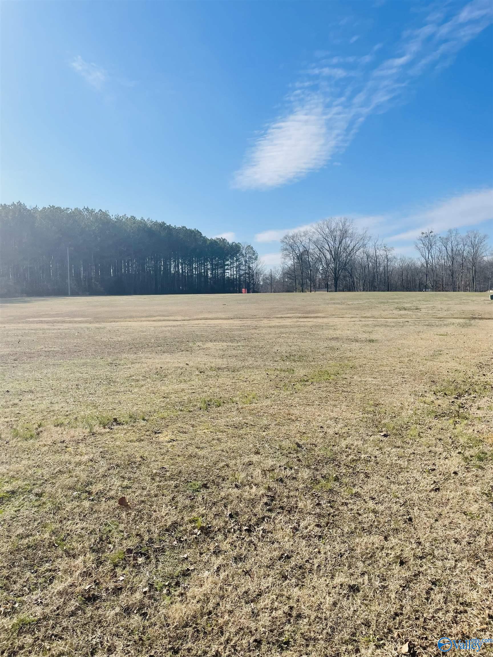 6 Acres County Road 459, Centre, Alabama image 5