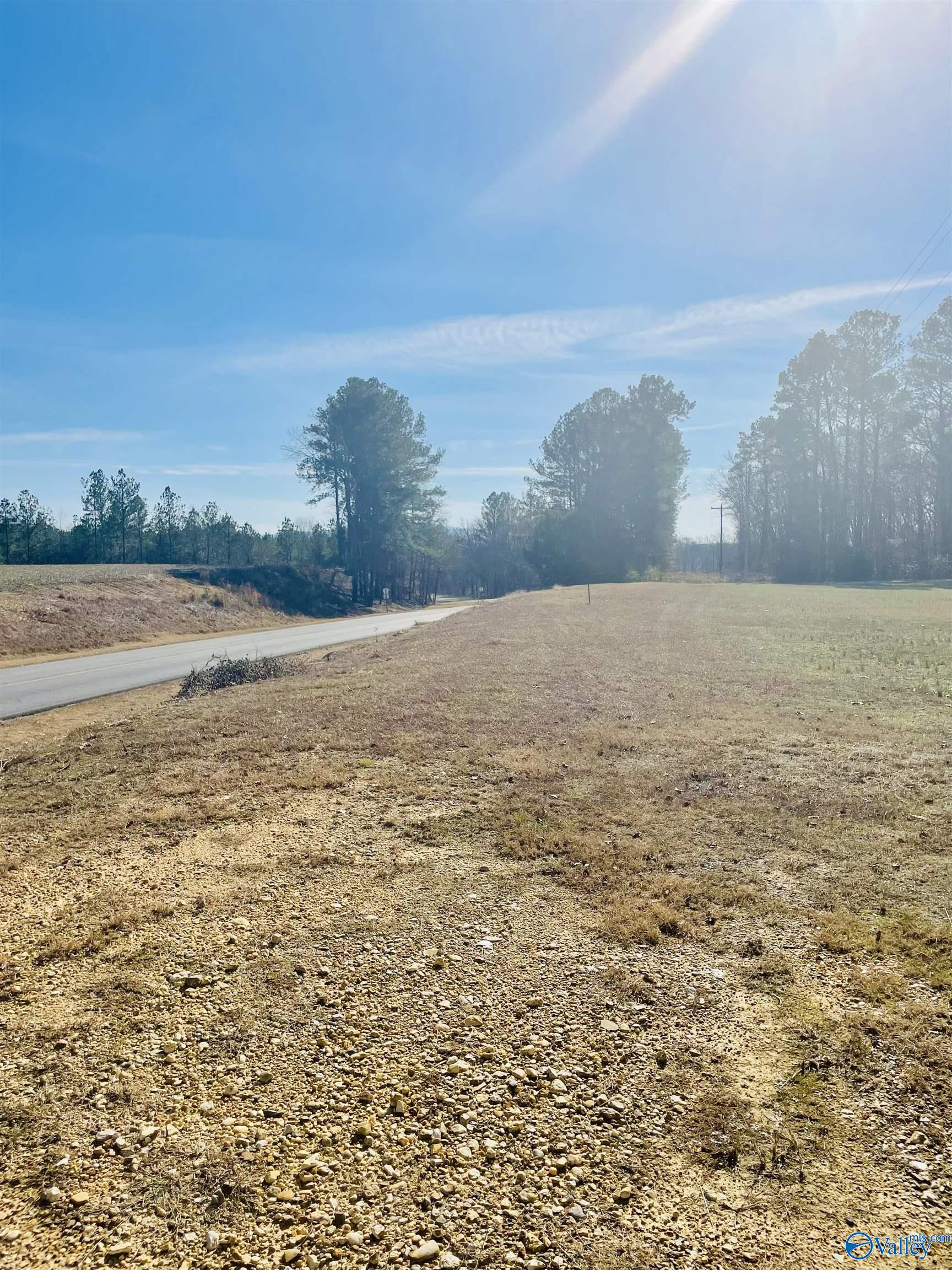 6 Acres County Road 459, Centre, Alabama image 4