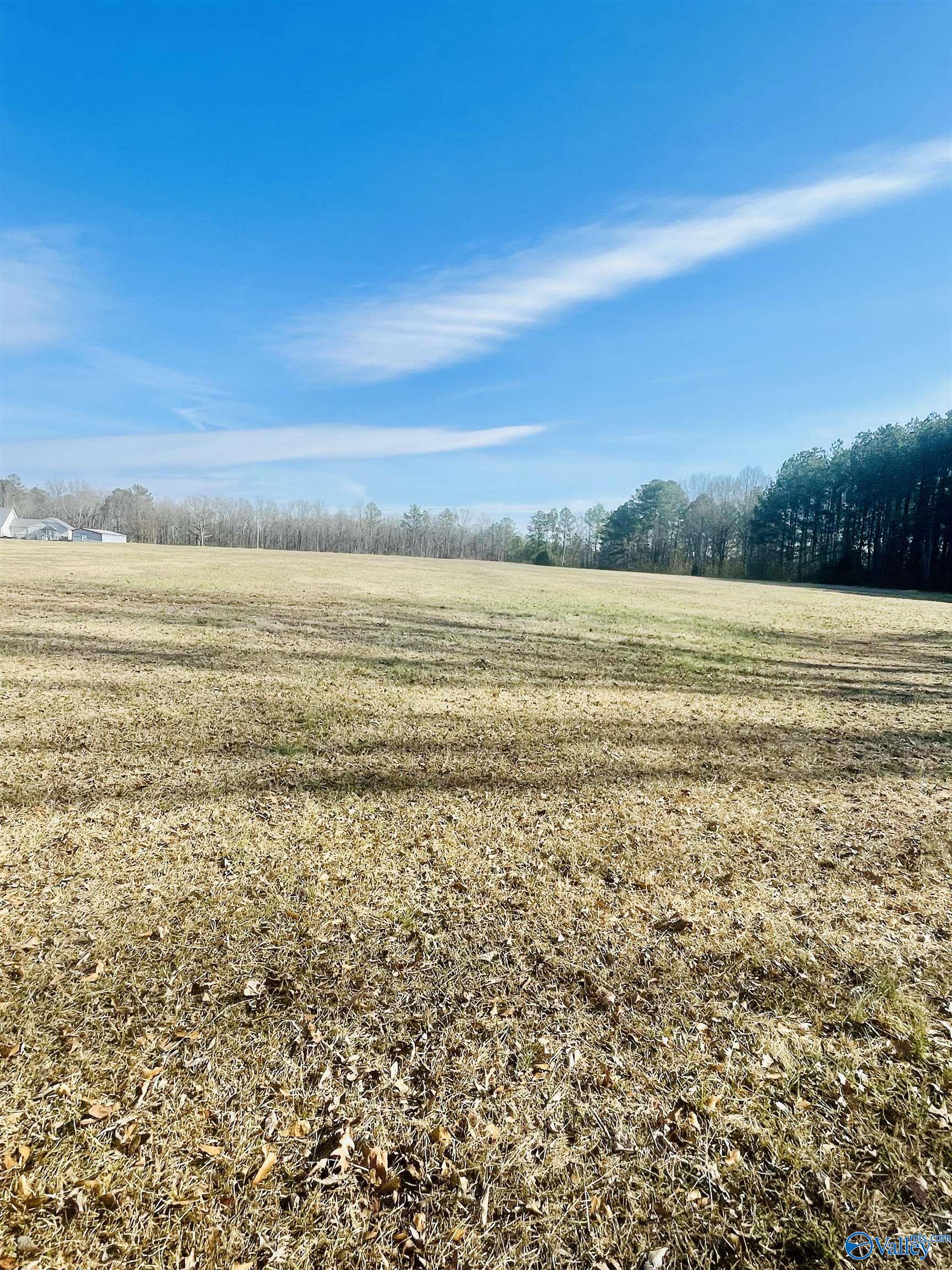 6 Acres County Road 459, Centre, Alabama image 3