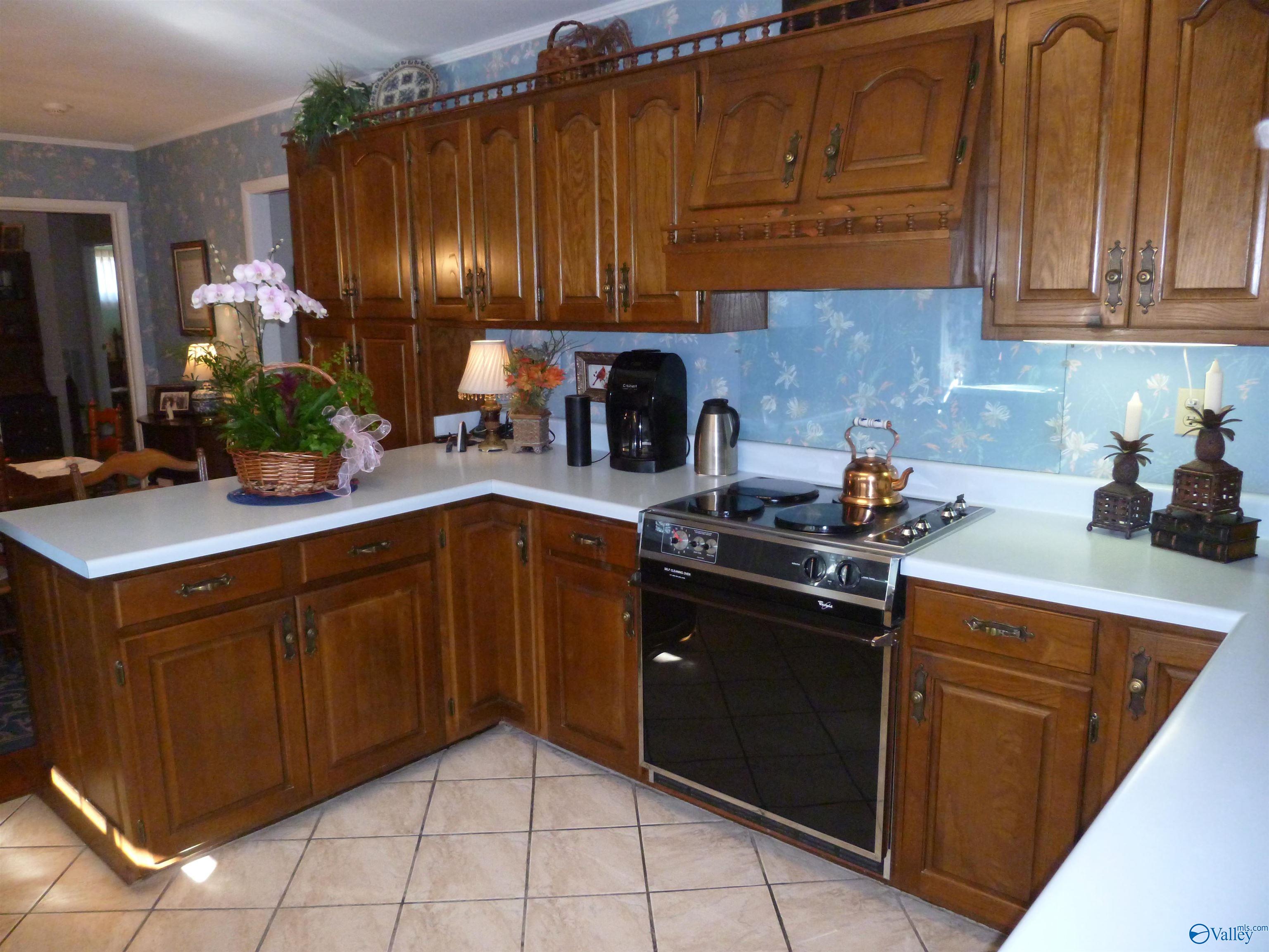 167 Marshall Road, Rainsville, Alabama image 19