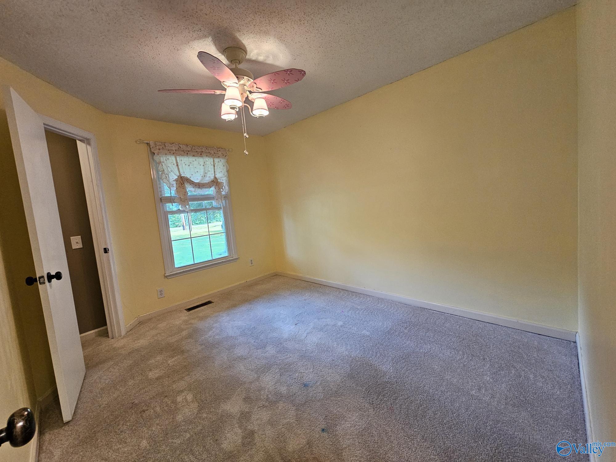 768 Knotty Walls Road, Owens Cross Roads, Alabama image 20