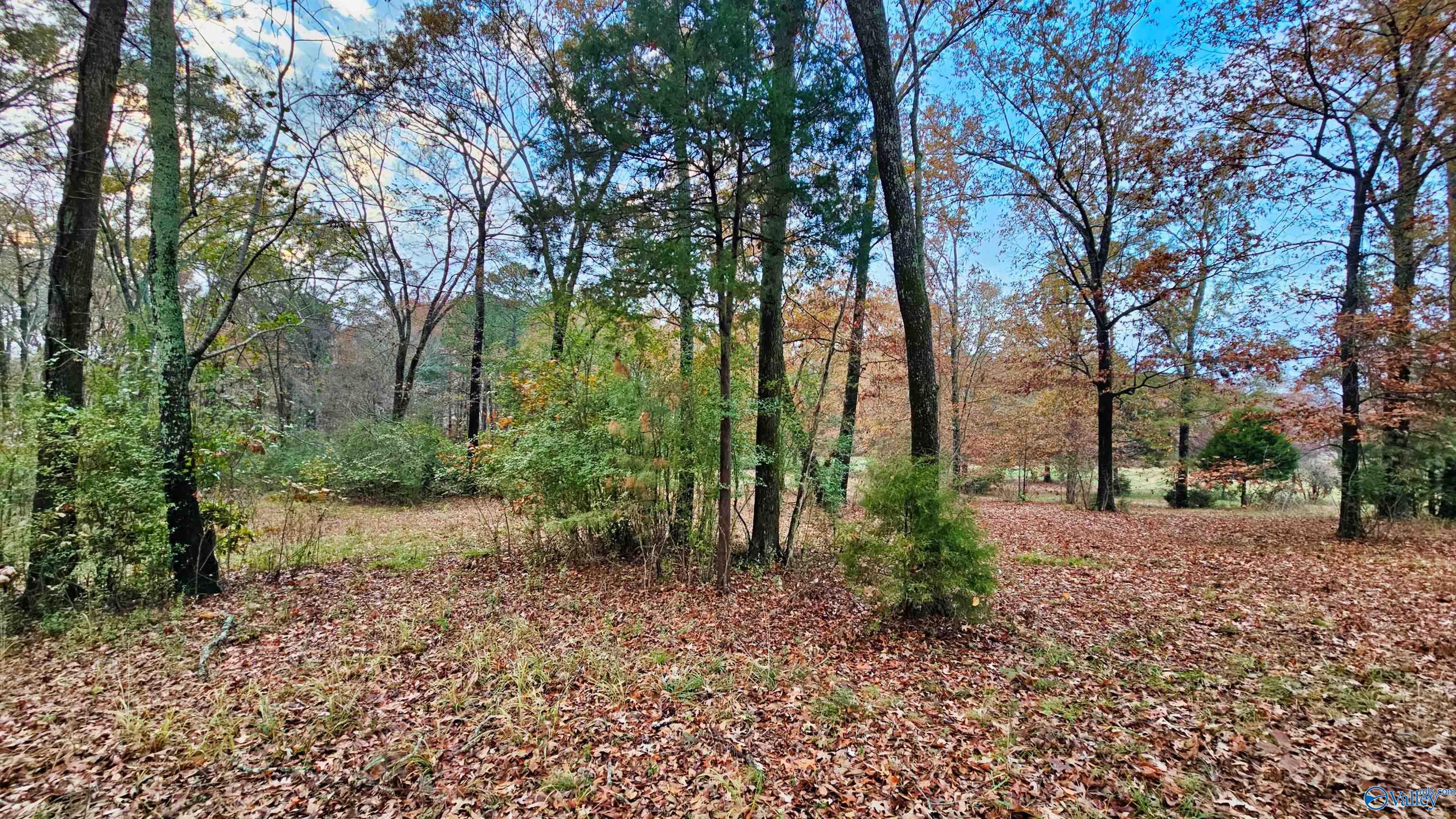 2.99 Acre Riverview Circle, Scottsboro, Alabama image 7