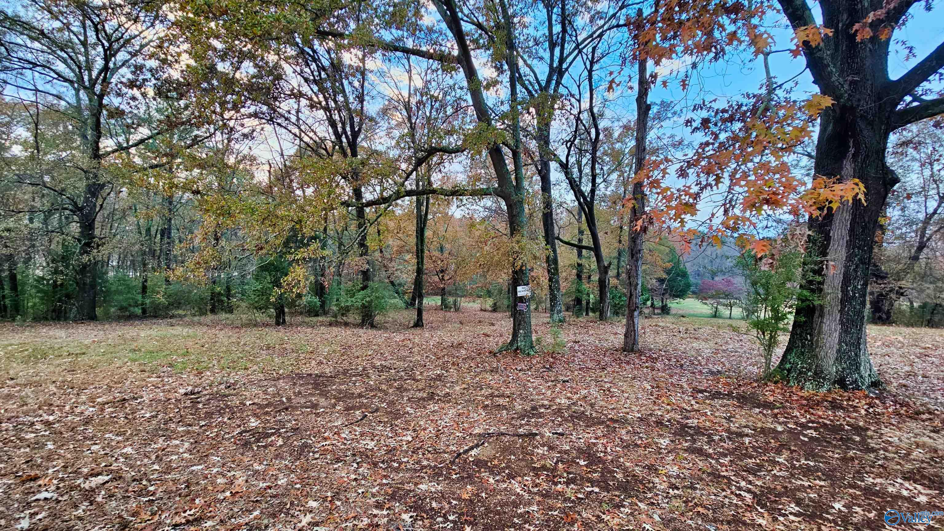 2.99 Acre Riverview Circle, Scottsboro, Alabama image 4