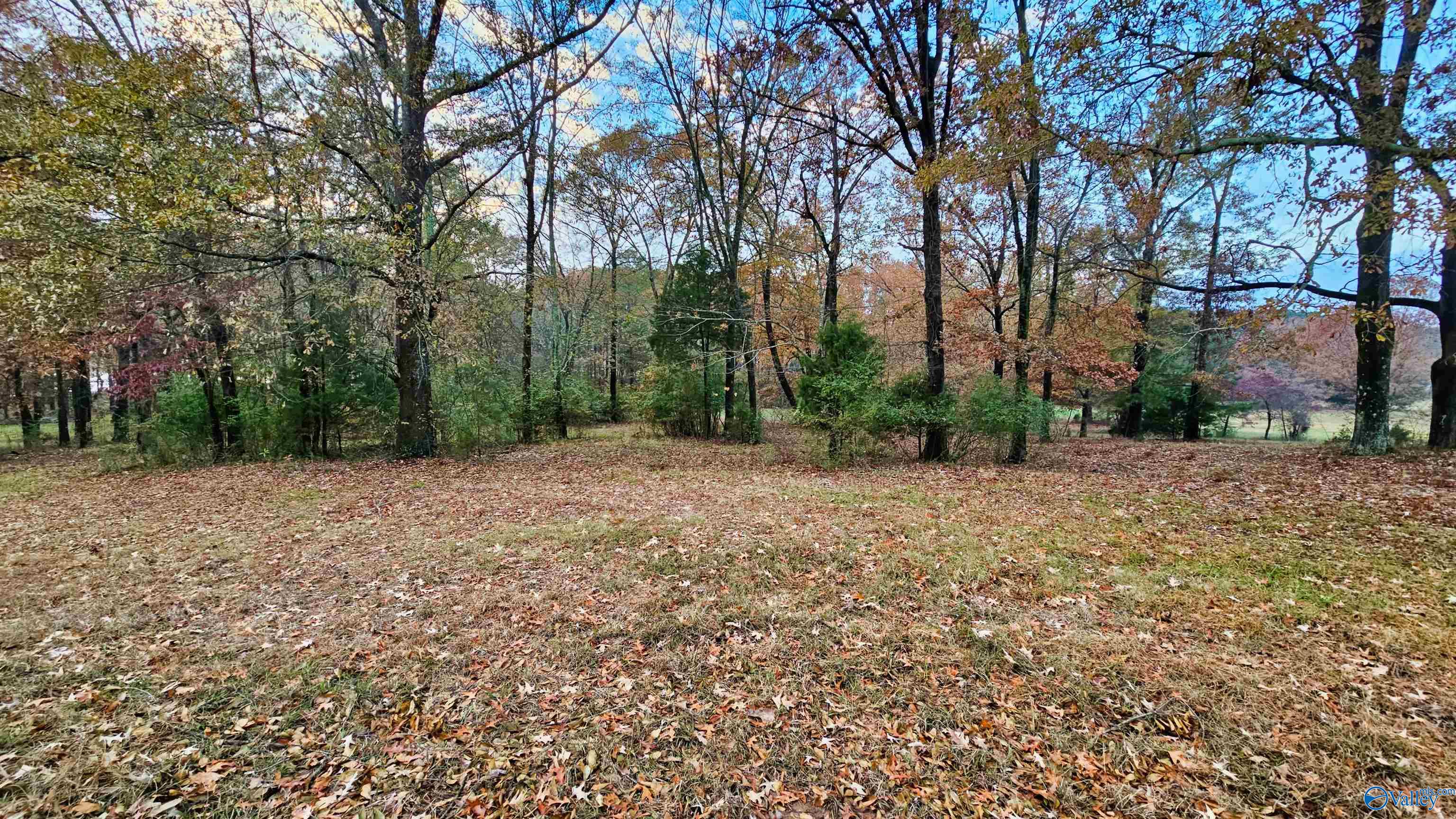 2.99 Acre Riverview Circle, Scottsboro, Alabama image 11