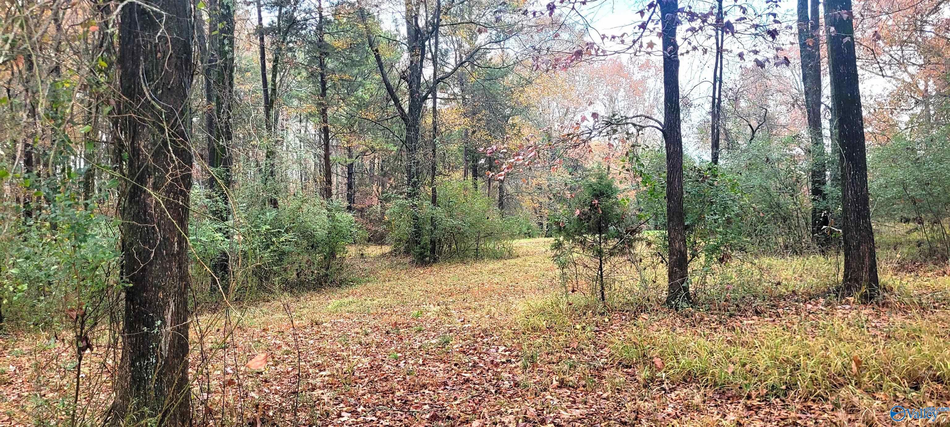 2.99 Acre Riverview Circle, Scottsboro, Alabama image 19