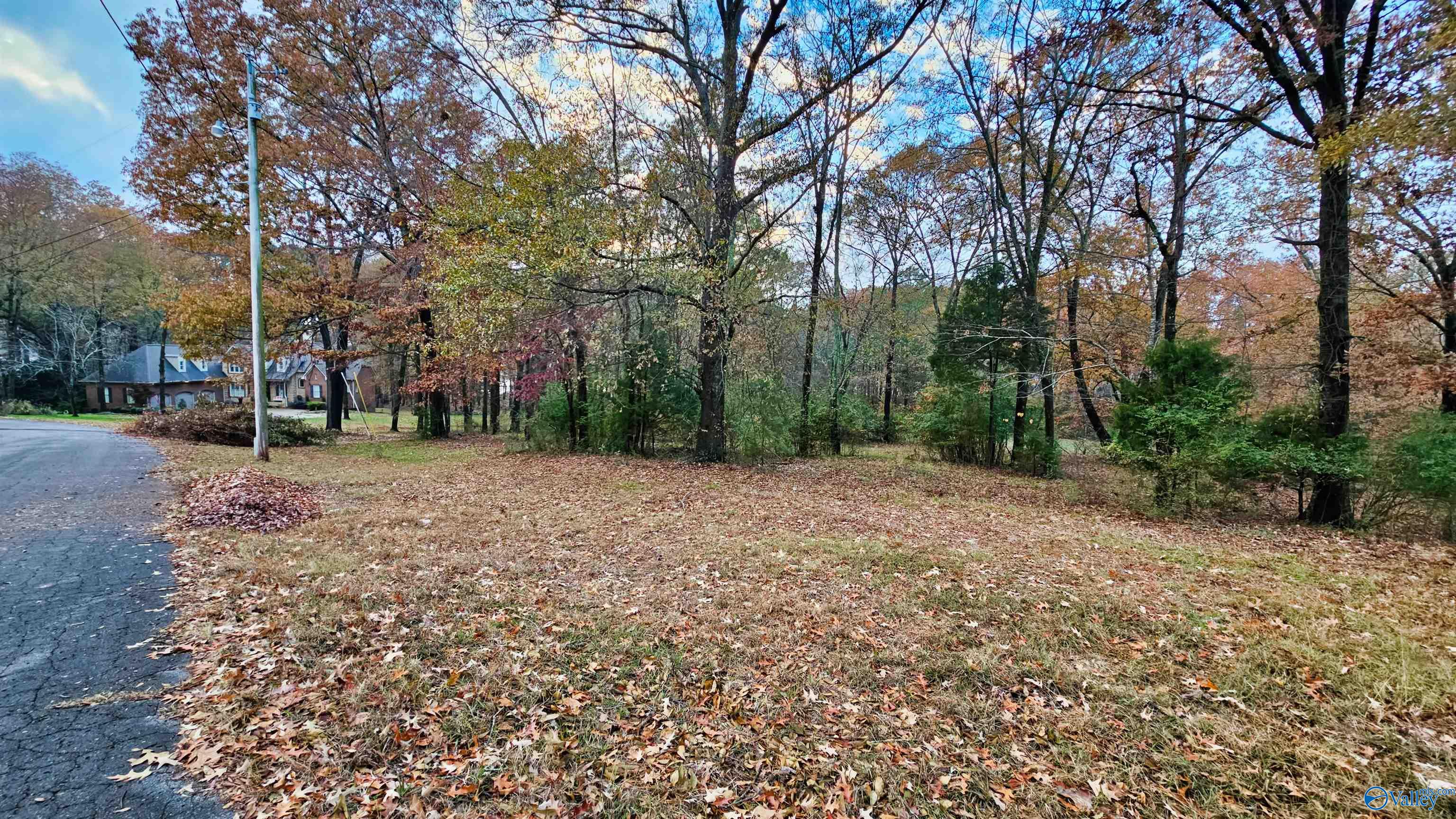 2.99 Acre Riverview Circle, Scottsboro, Alabama image 10