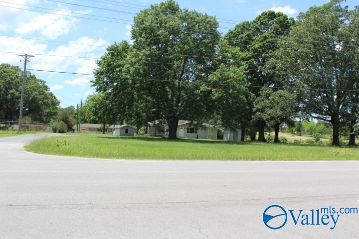 8198-A Brindlee Mountain Parkway, Arab, Alabama image 19