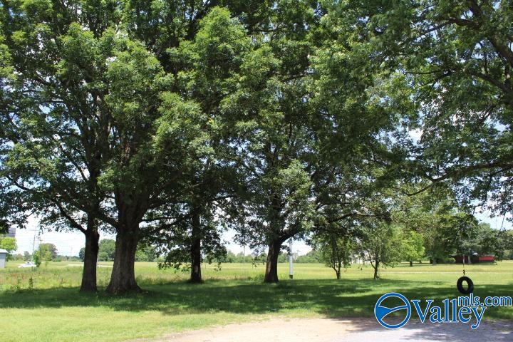 8198-A Brindlee Mountain Parkway, Arab, Alabama image 6