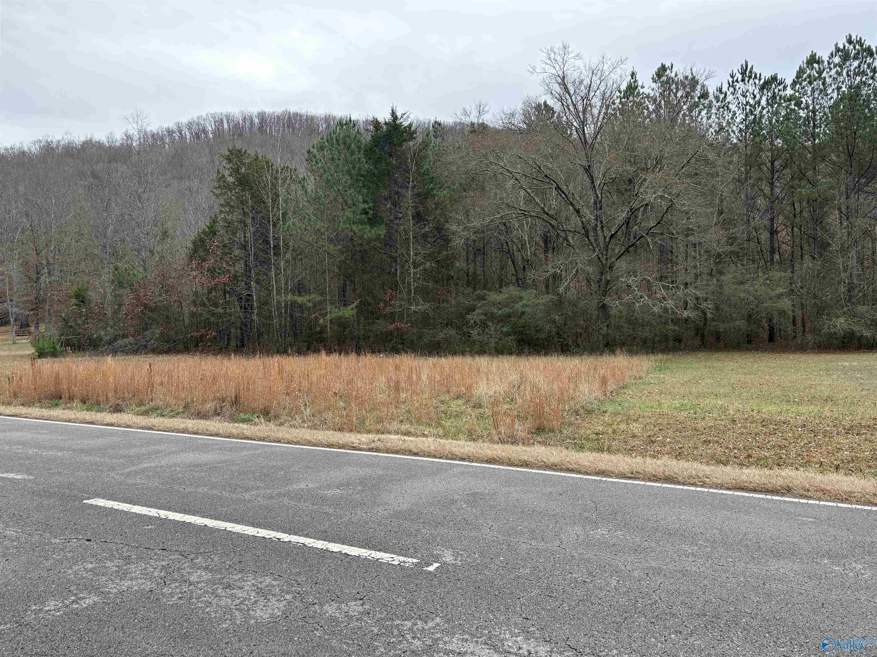 4.77 Ac Hwy 35, Scottsboro, Alabama image 1