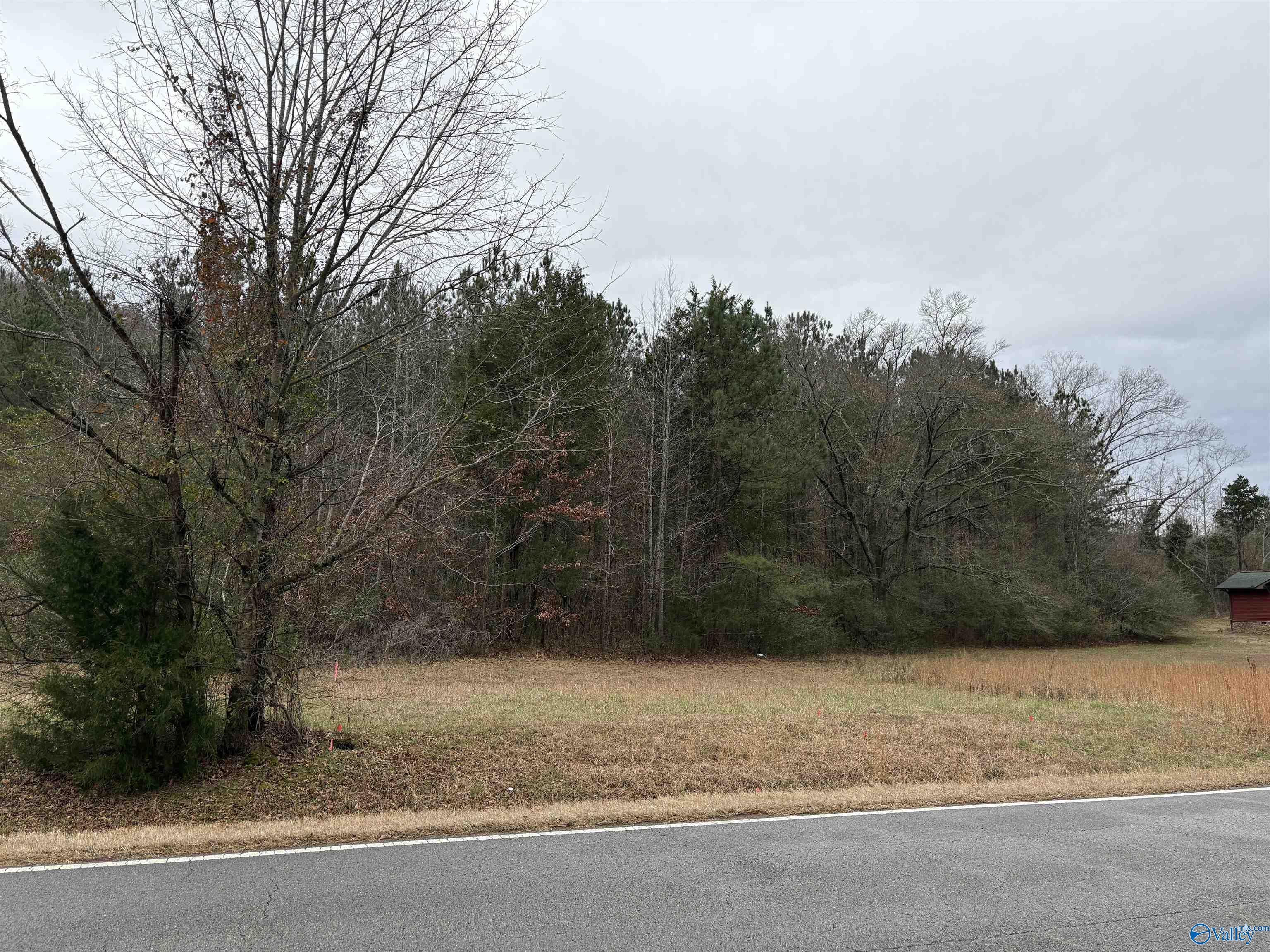 4.77 Ac Hwy 35, Scottsboro, Alabama image 2