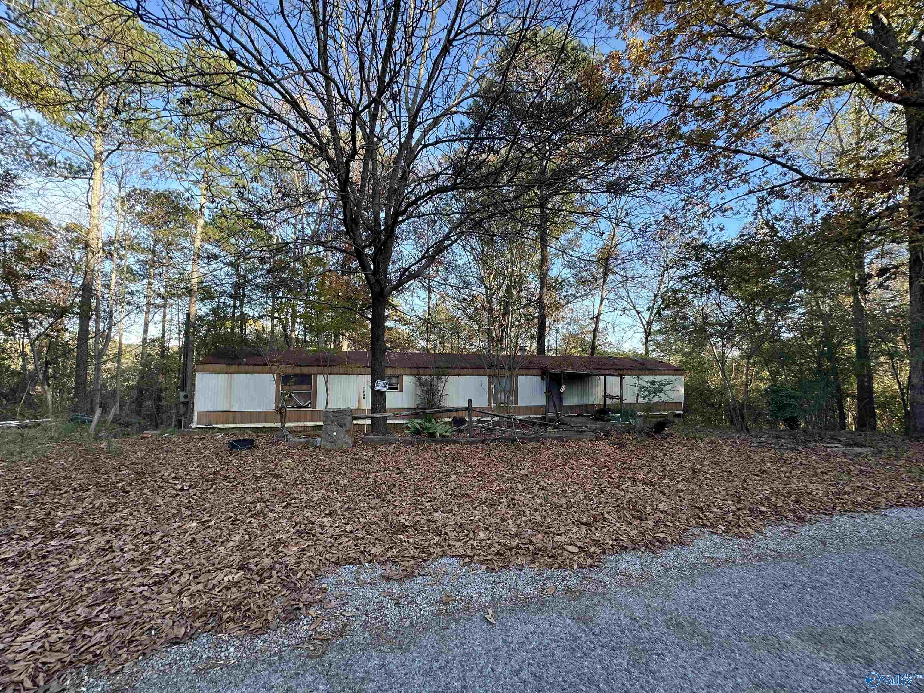 43 County Road 204, Arley, Alabama image 1