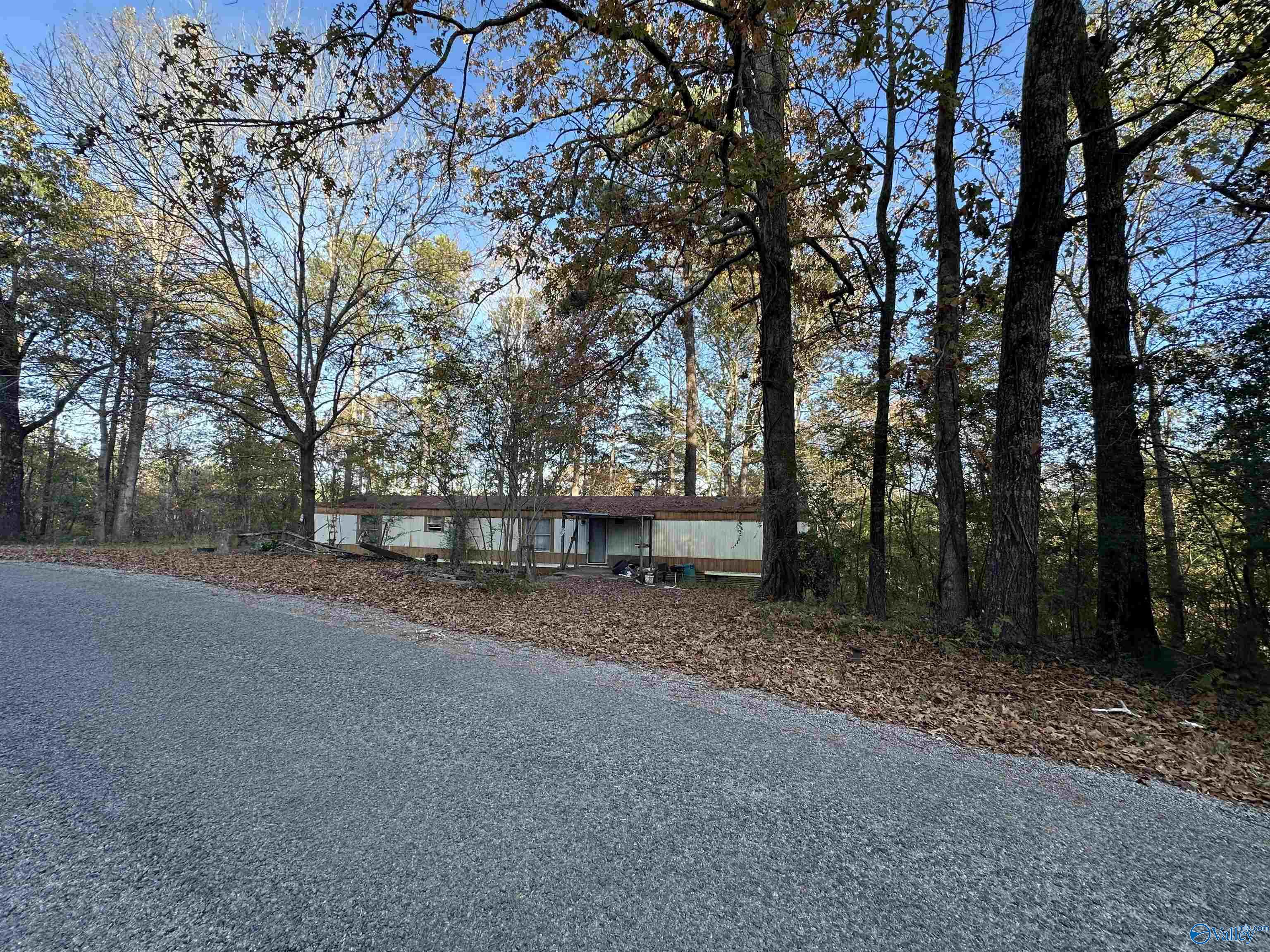 43 County Road 204, Arley, Alabama image 4