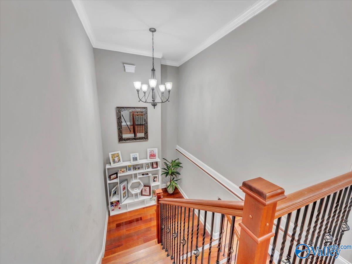 1481 Peninsula Drive, Scottsboro, Alabama image 30