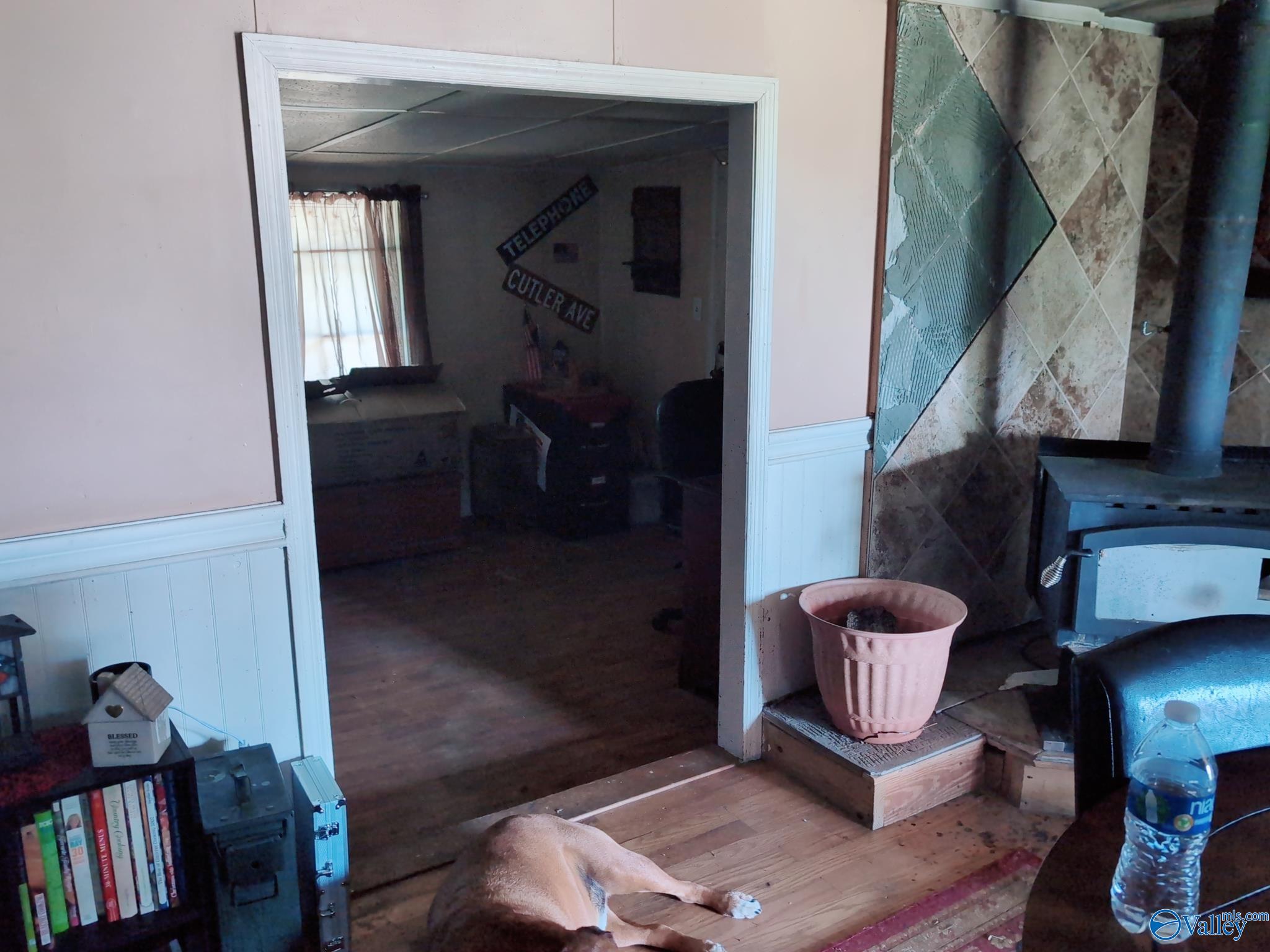11085 County Road 103, Mentone, Alabama image 7