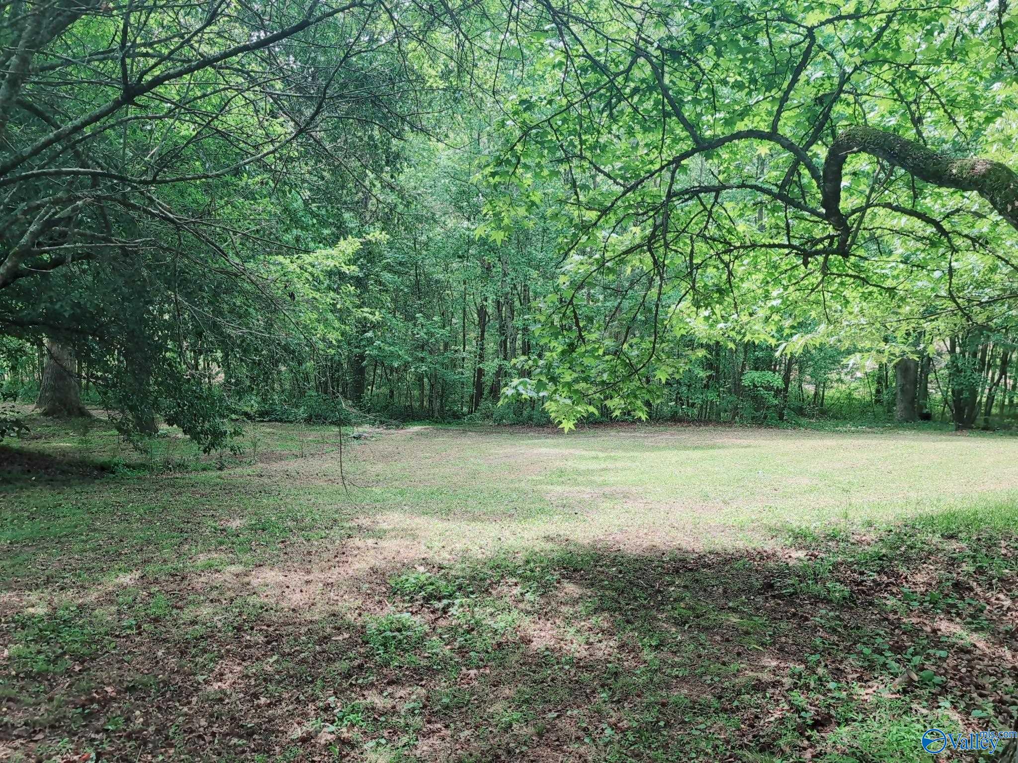 11085 County Road 103, Mentone, Alabama image 10