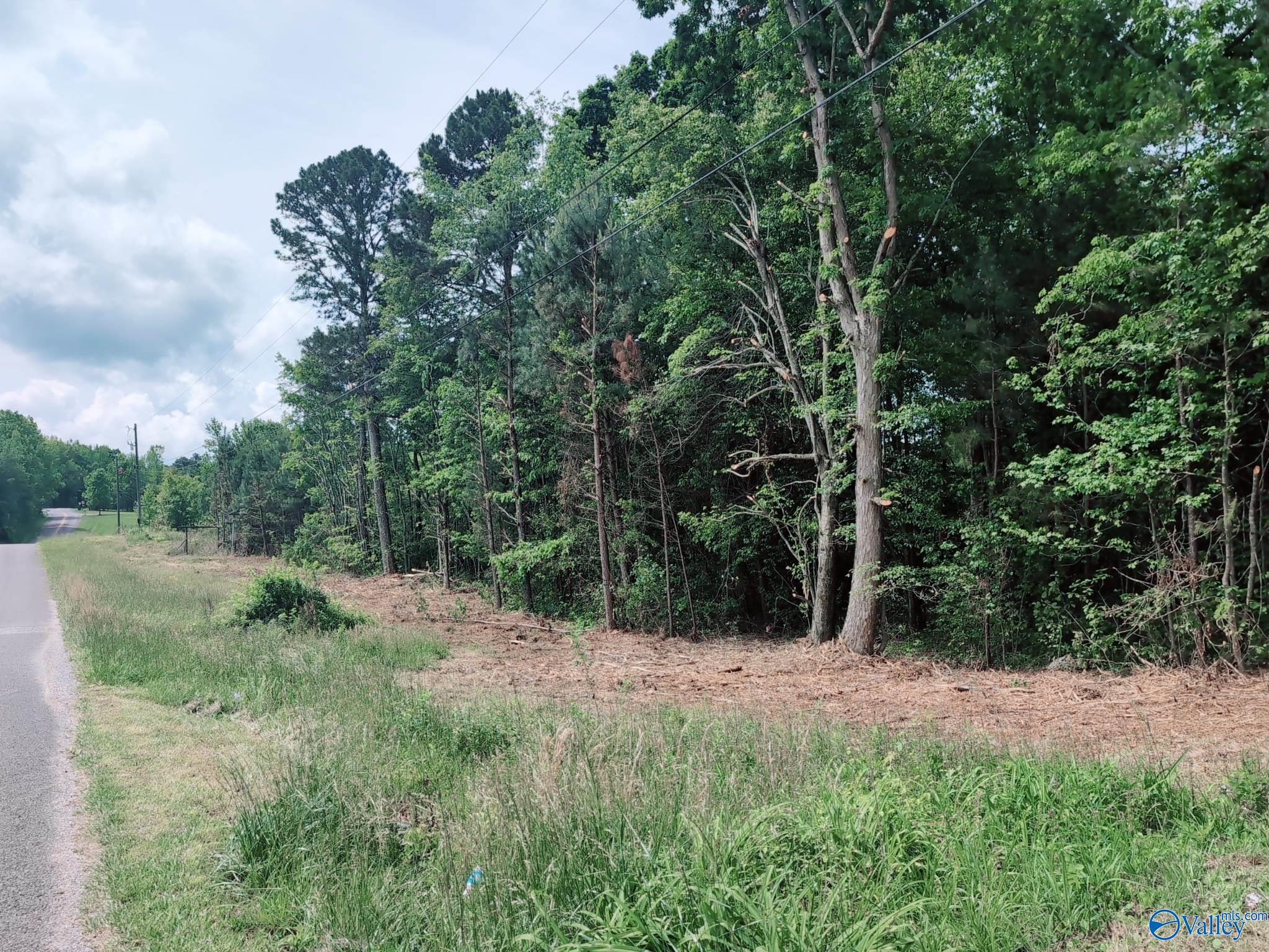 11085 County Road 103, Mentone, Alabama image 12