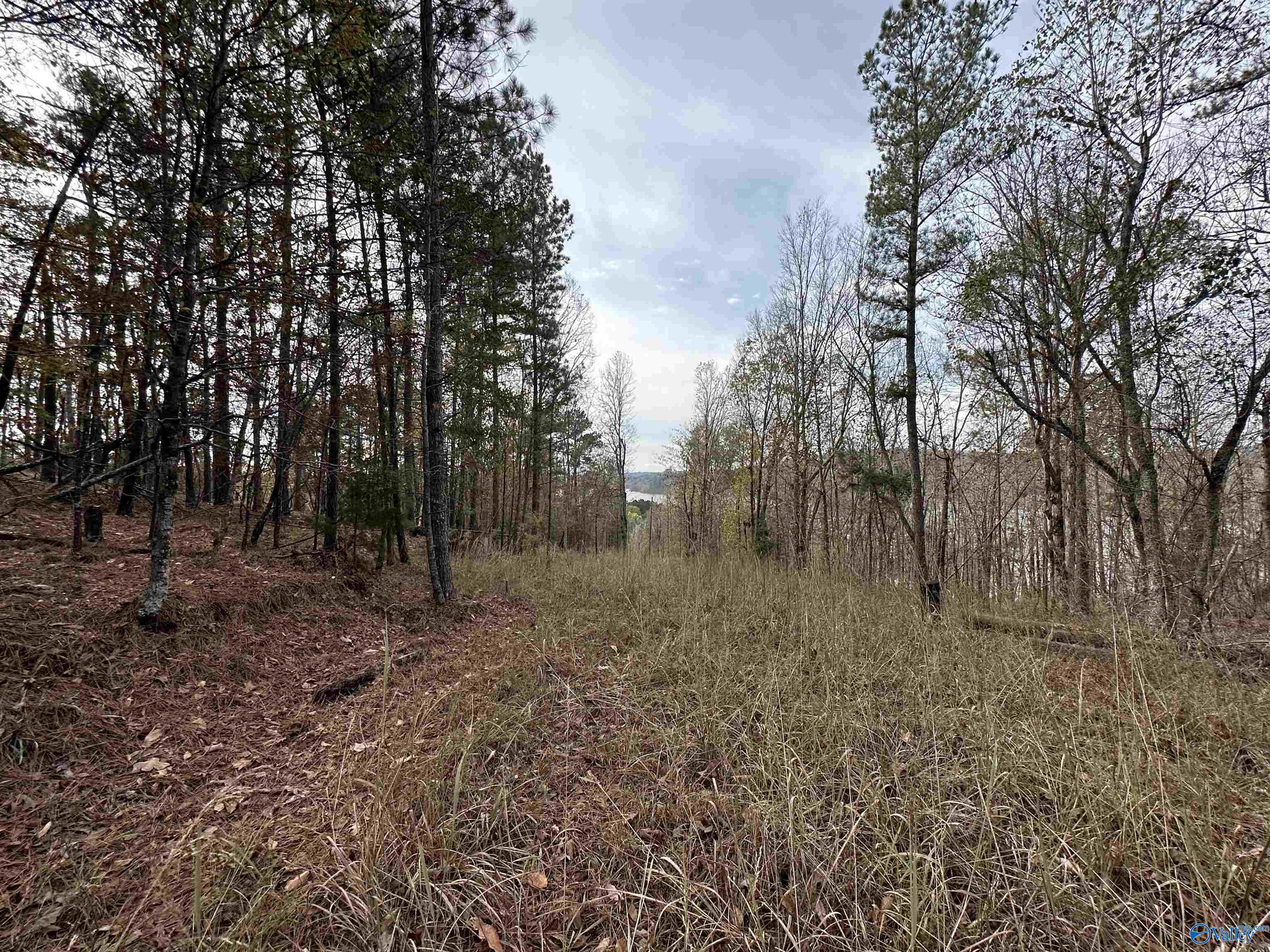 Lot 19 Mohawk Cliff Road, Ohatchee, Alabama image 6