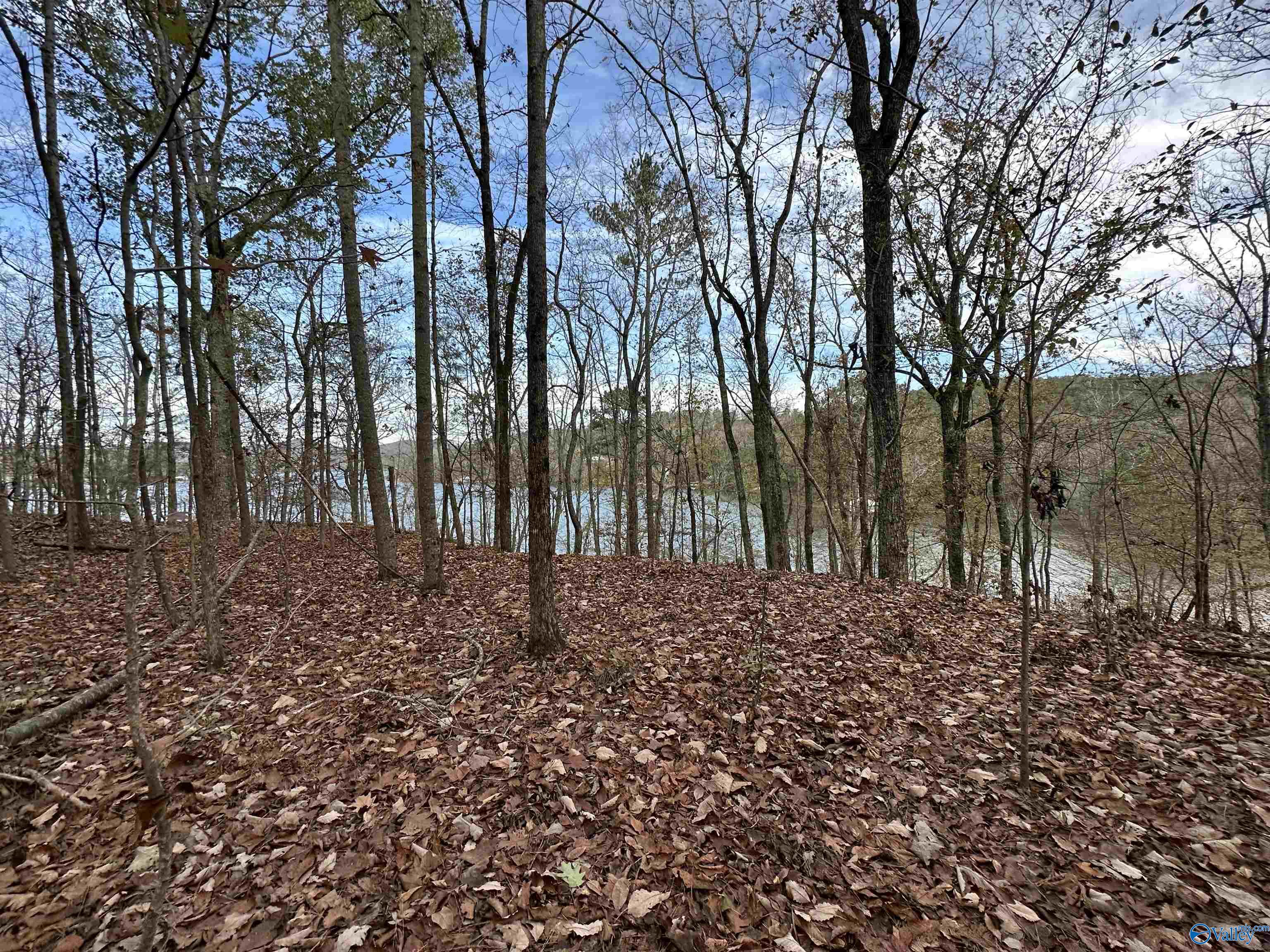 Lot 19 Mohawk Cliff Road, Ohatchee, Alabama image 2