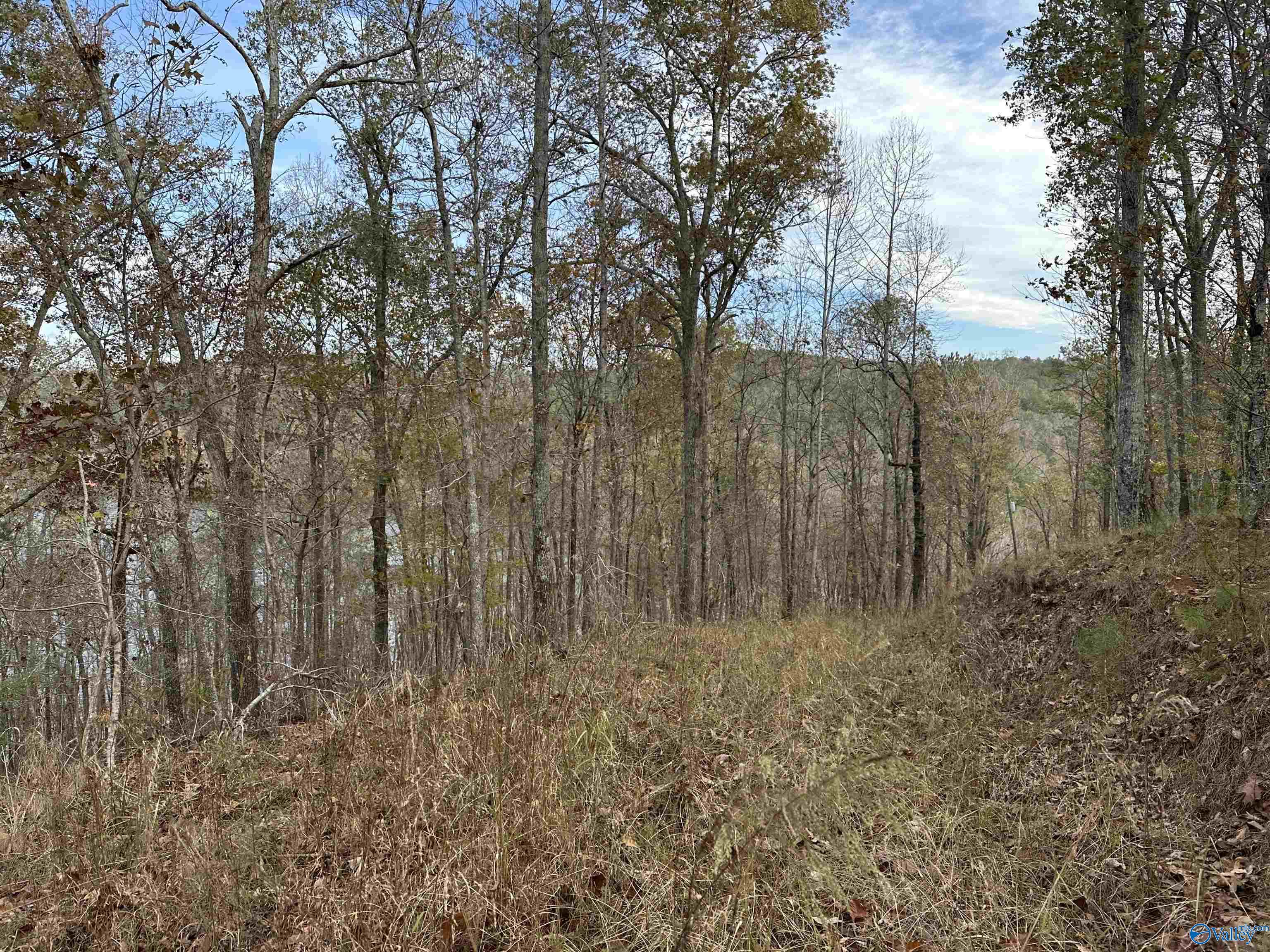 Lot 19 Mohawk Cliff Road, Ohatchee, Alabama image 7