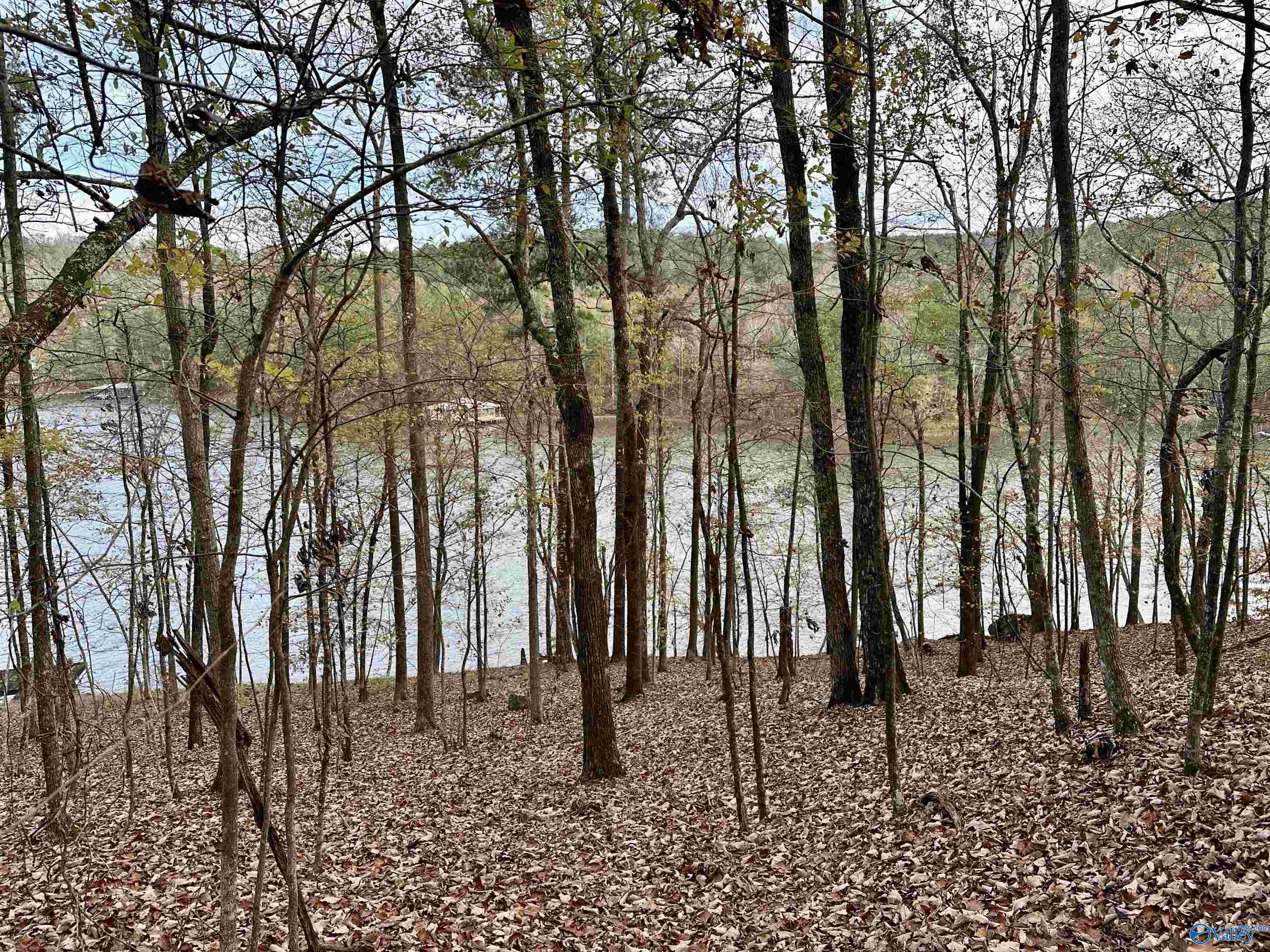 Lot 19 Mohawk Cliff Road, Ohatchee, Alabama image 3