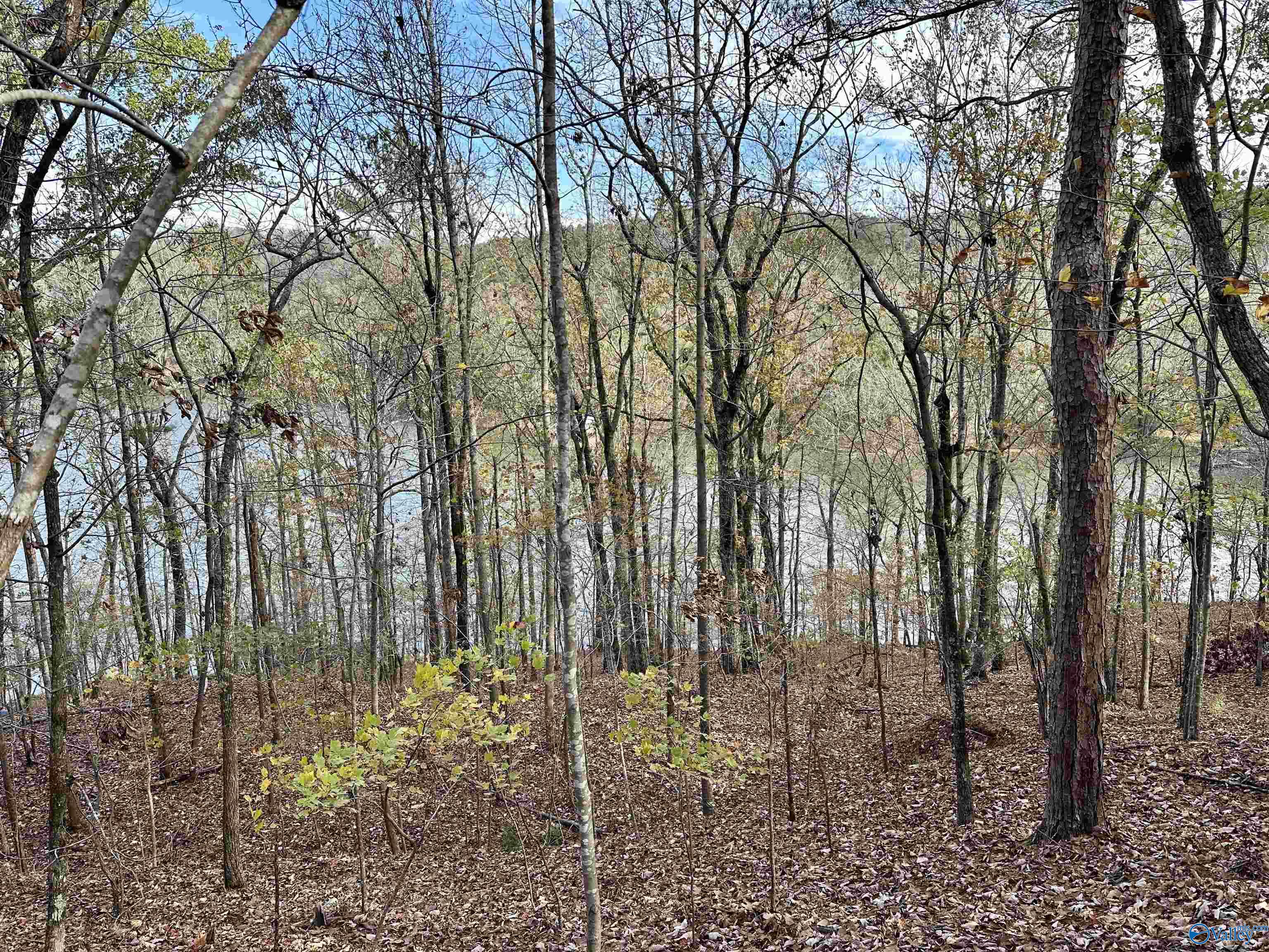 Lot 19 Mohawk Cliff Road, Ohatchee, Alabama image 9